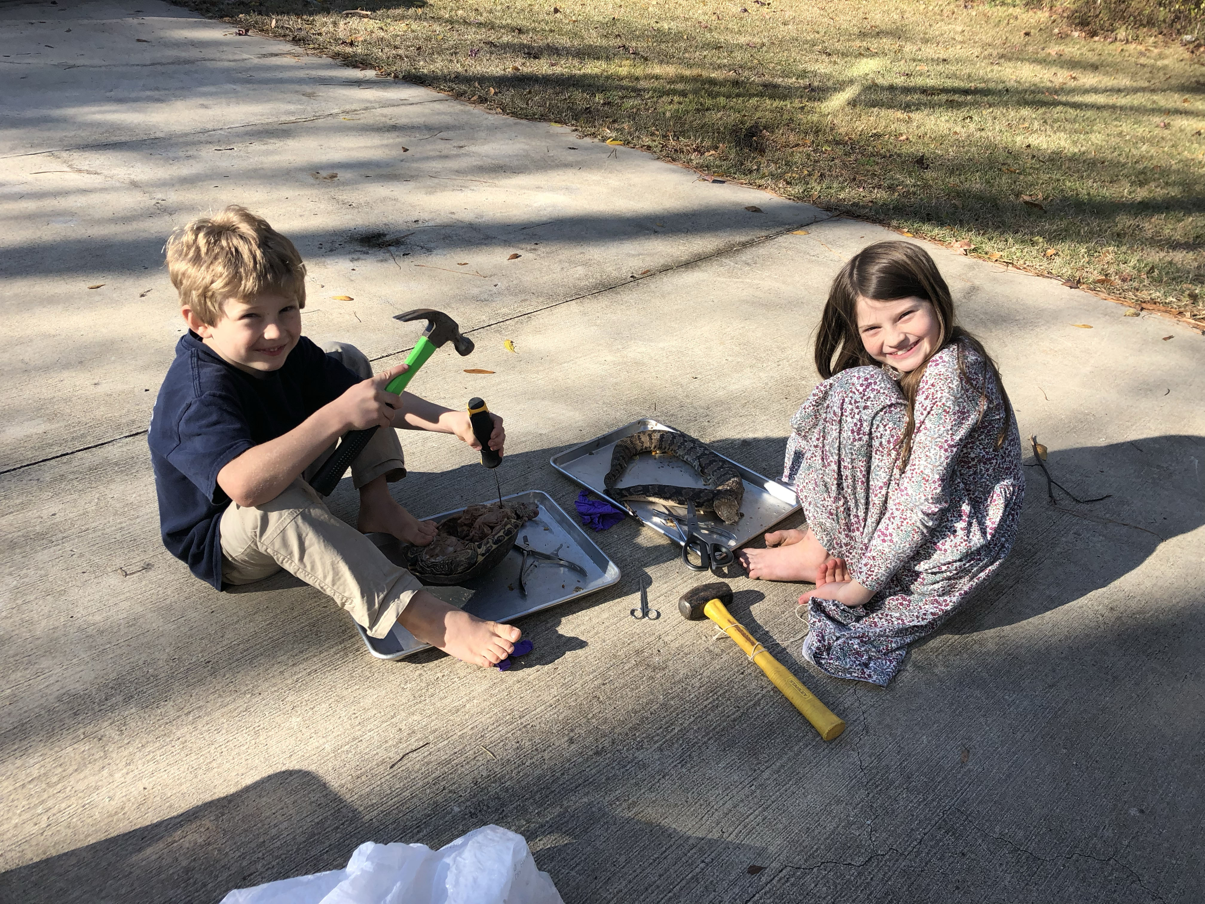 Outreach: Hands-on specimen dissection outdoors