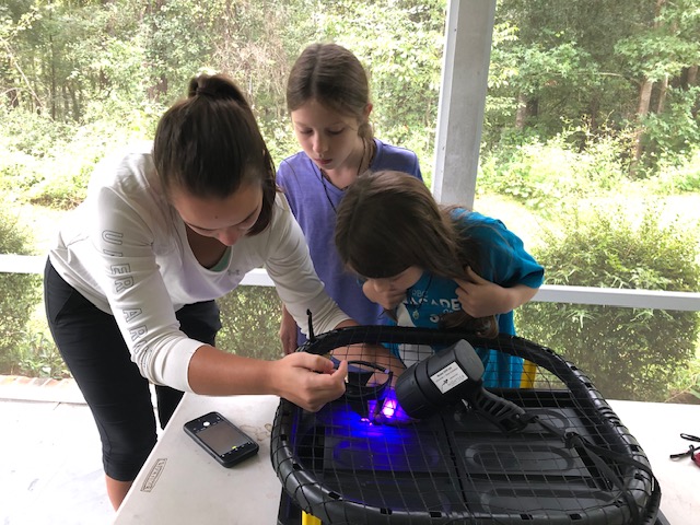 Outreach: UV light investigation on the porch