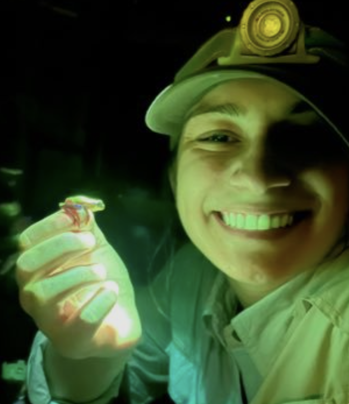 Courtney Whitcher, fieldwork at night with a frog