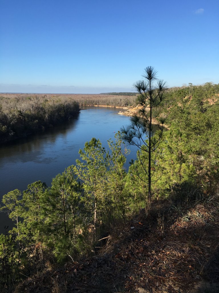Apalachicola River