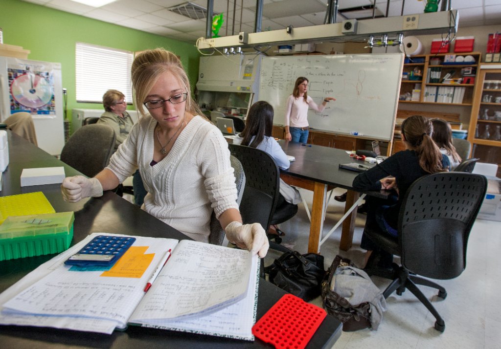 PHOTO: Undergraduate internships — student in the field or lab, working with research equipment.