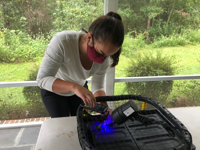 Outreach: Exploring biofluorescence with UV light
