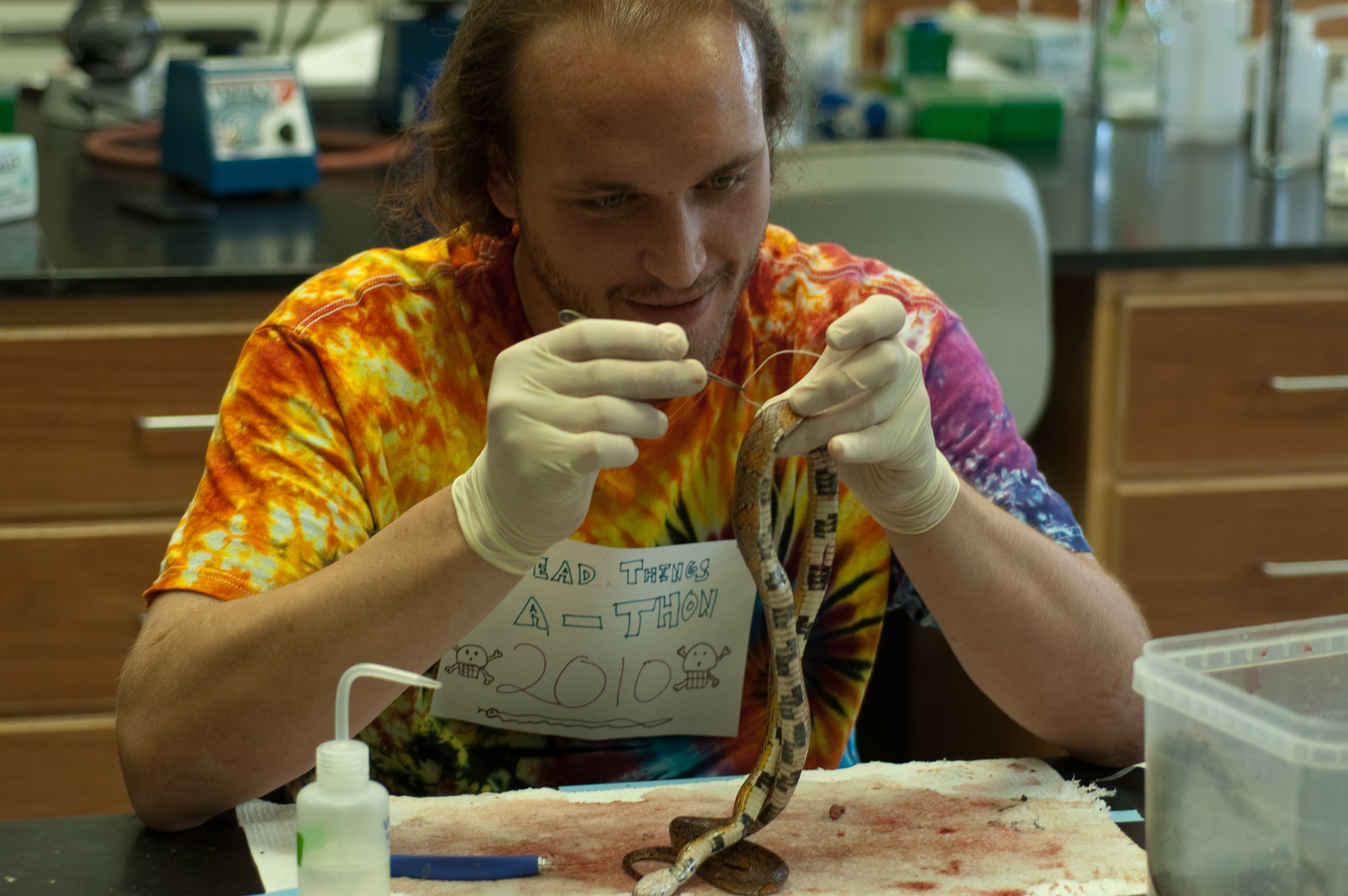 Moses Michelsohn examining a specimen during Dead Things A-Thon 2010