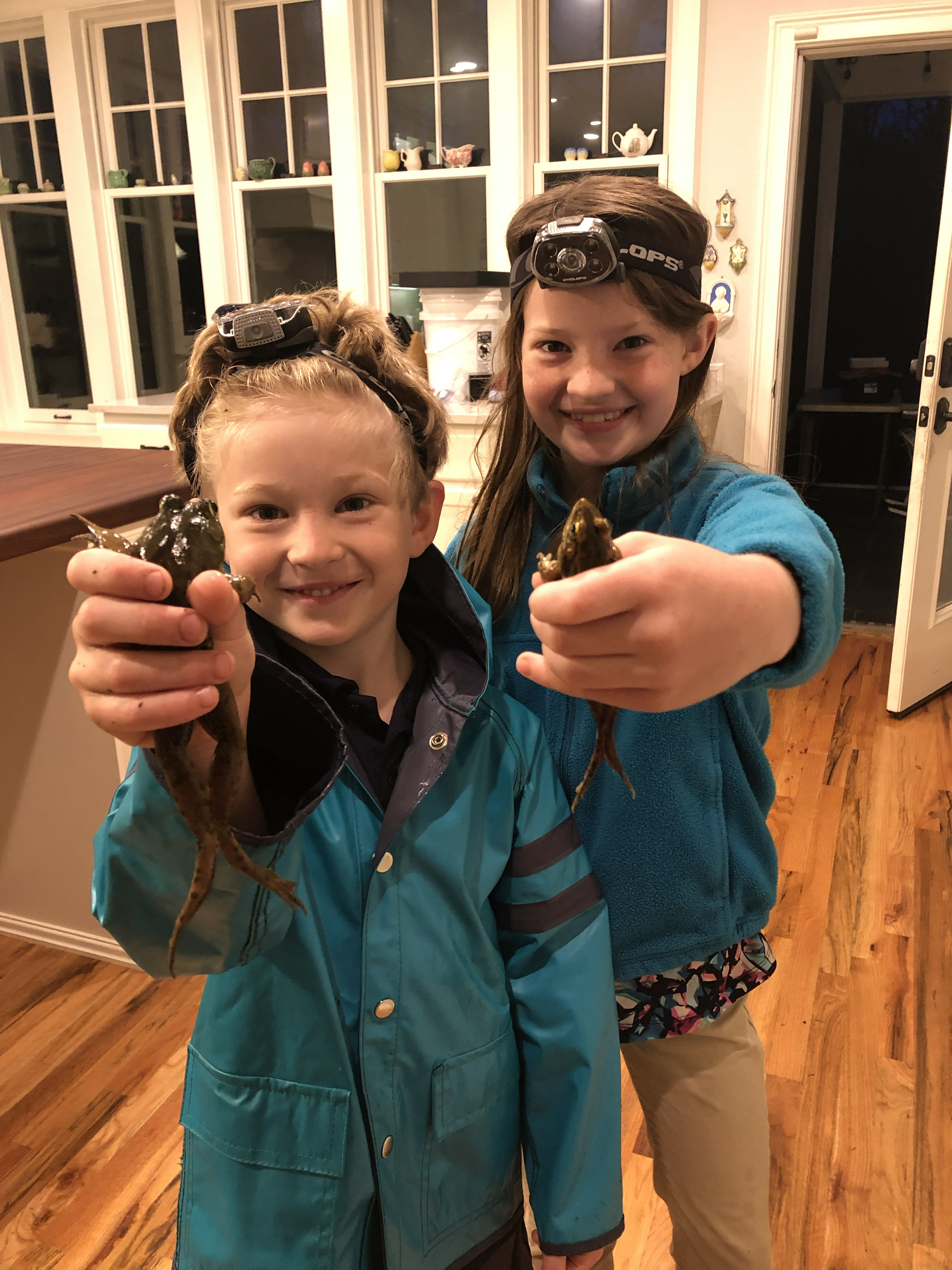 Outreach: Showing off frogs caught on a night hunt