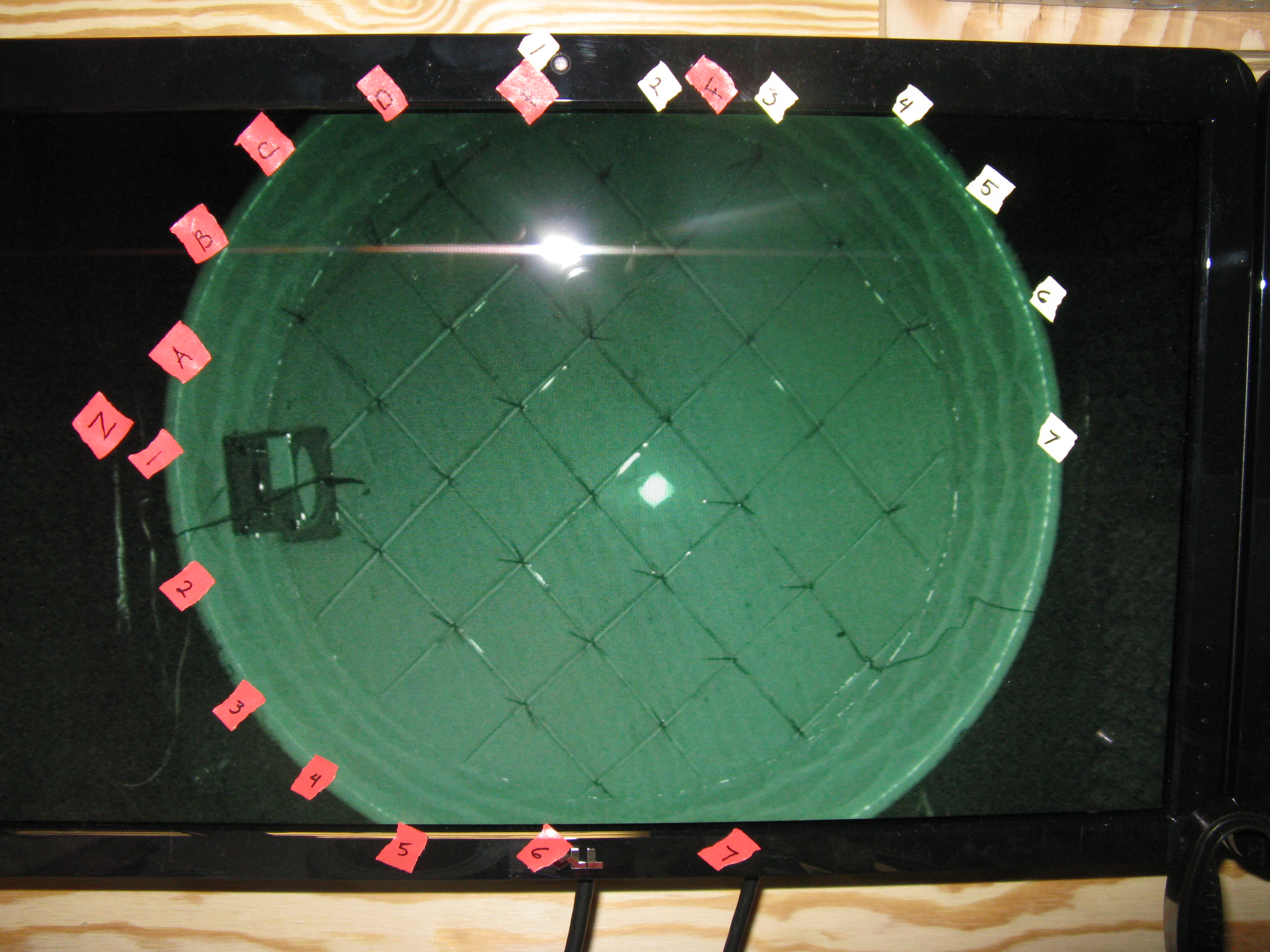Monitor view of the preference testing arena with reference markers