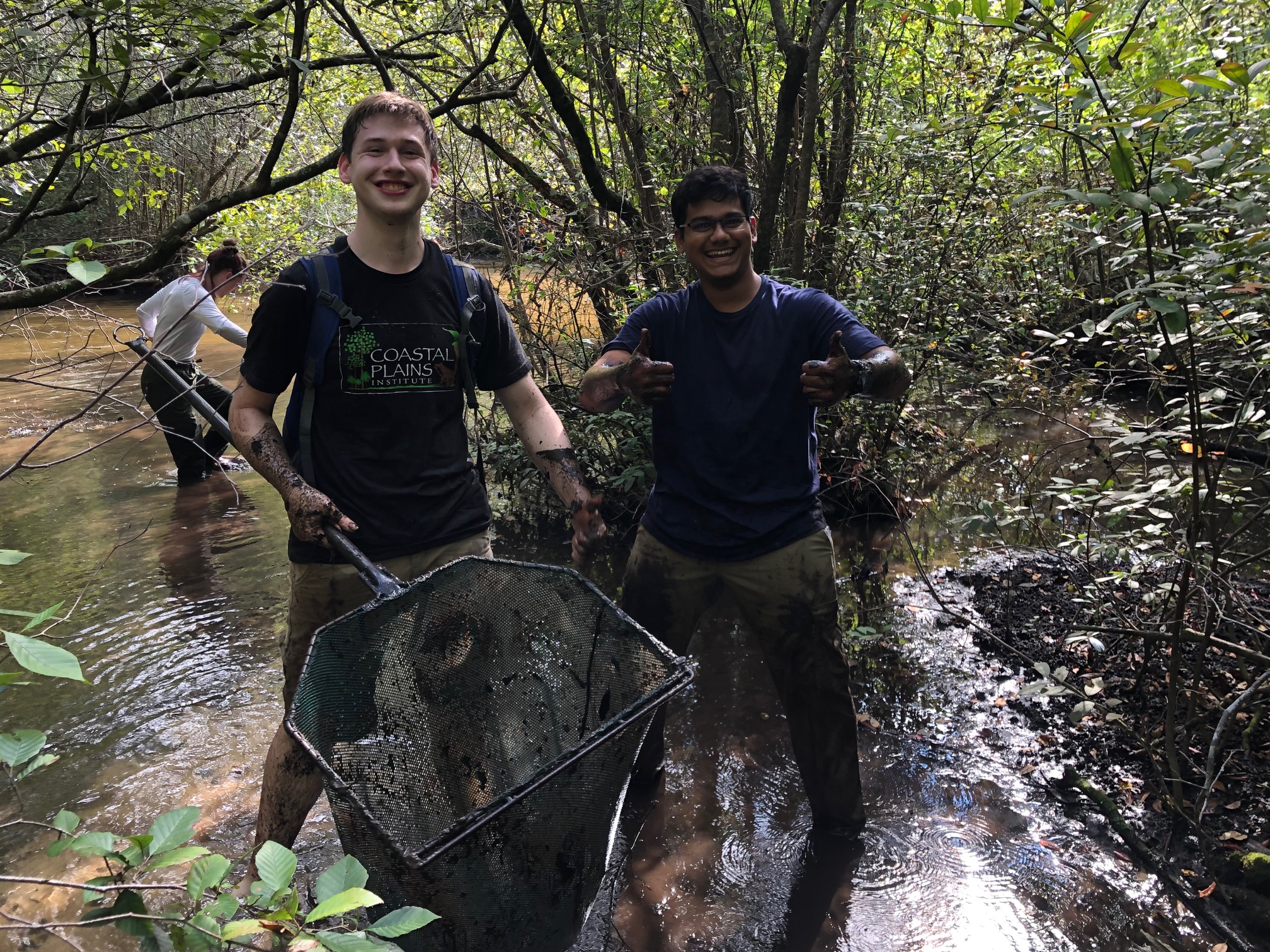 Seining in the creek