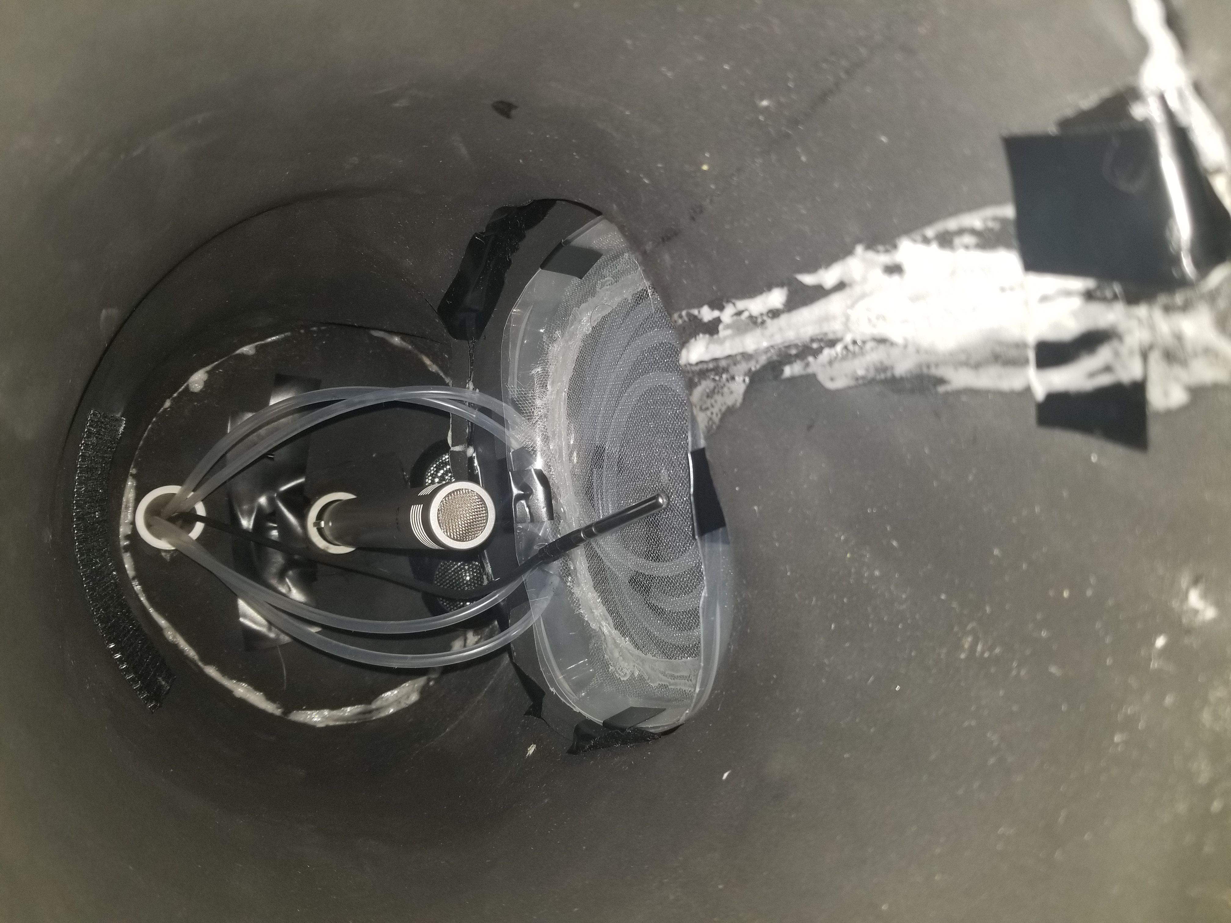 Inside the frog box — microphone and mesh screen in the chamber