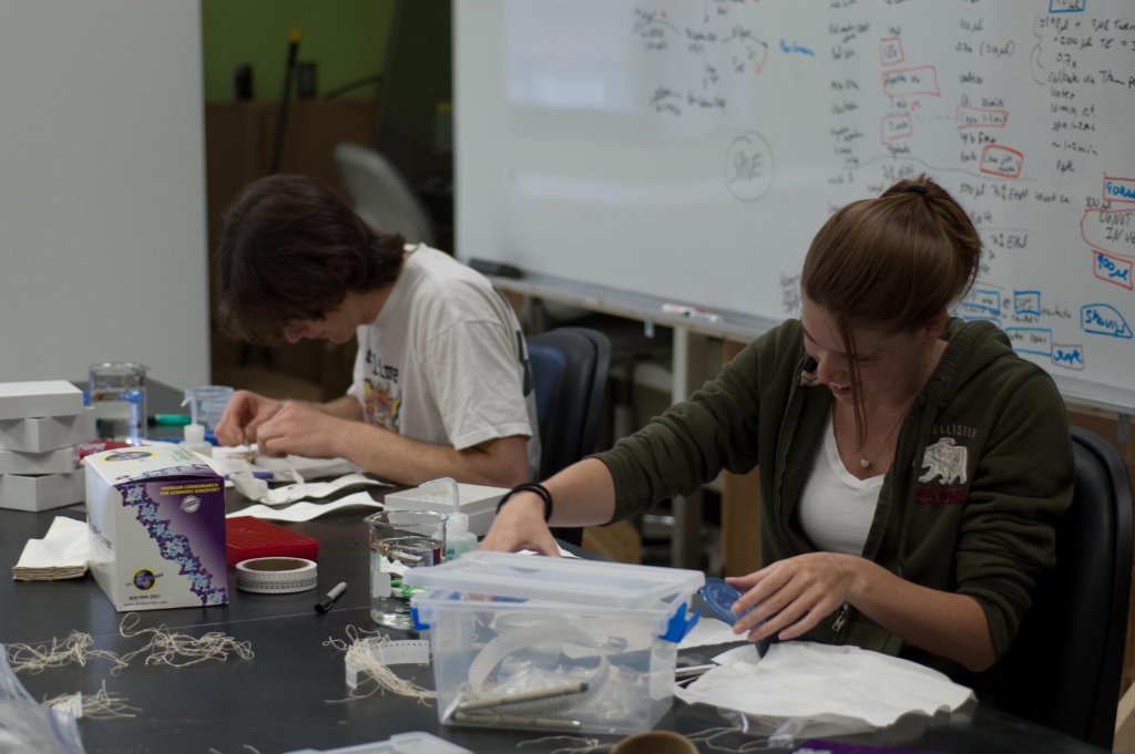 Miguel Mejias and Alysha Salapak doing dissections in the lab
