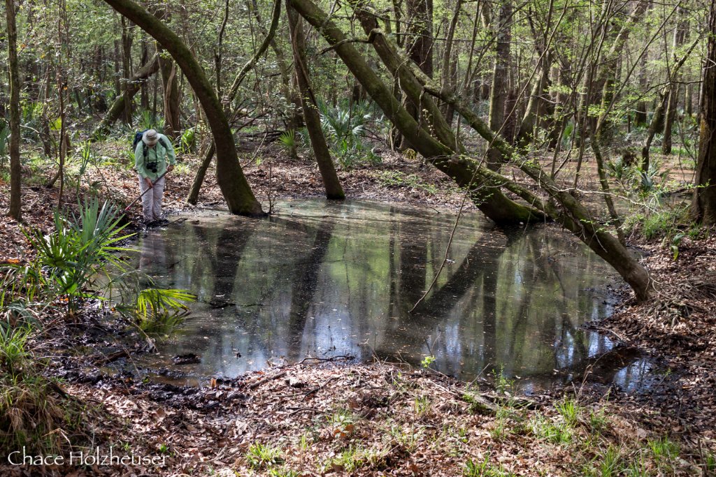 Field habitat research