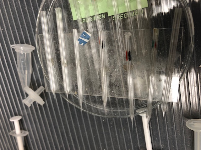 Electrophysiology lab — glass micropipette electrodes prepared for intracellular recording.