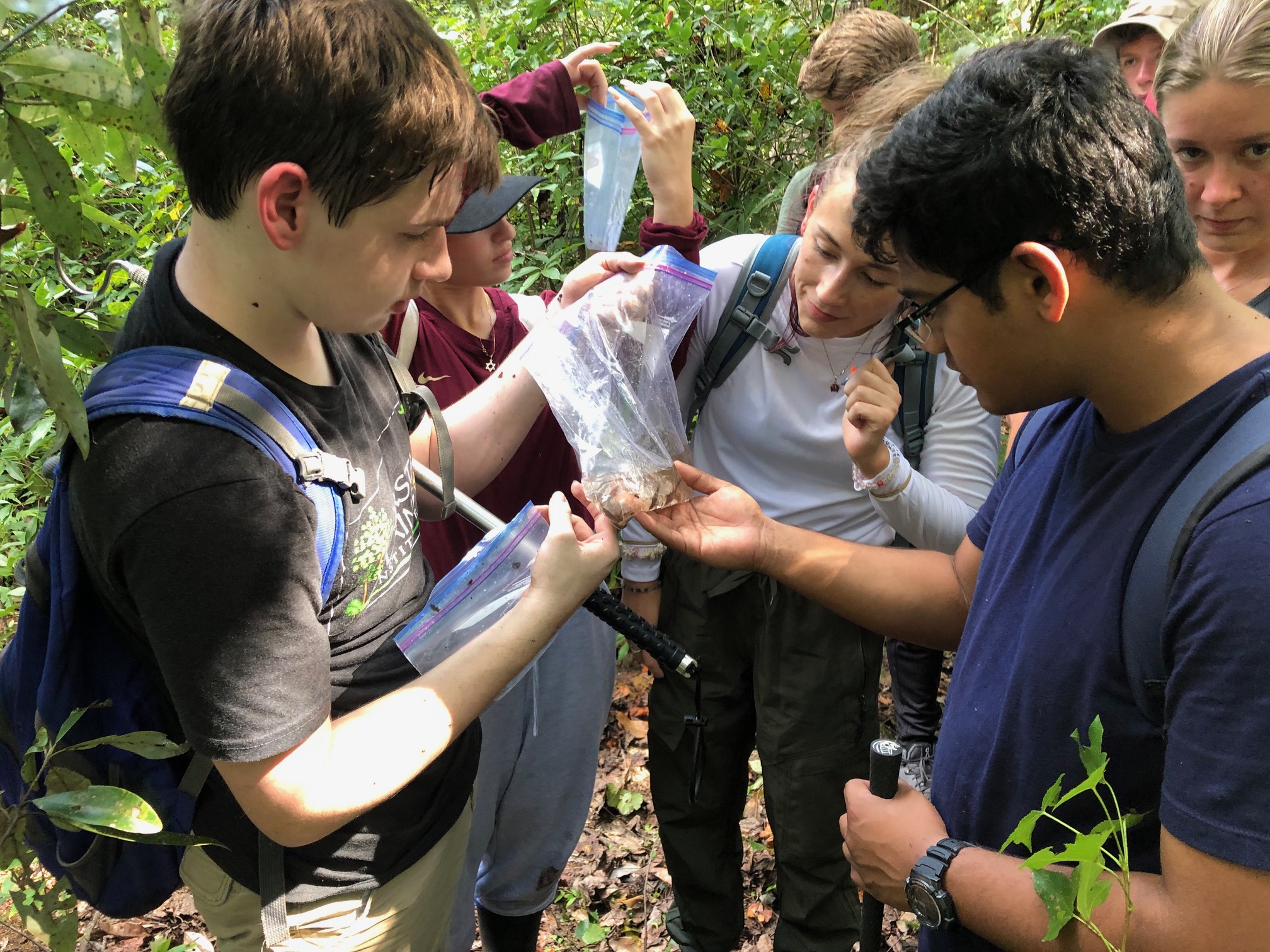 Transferring a field sample