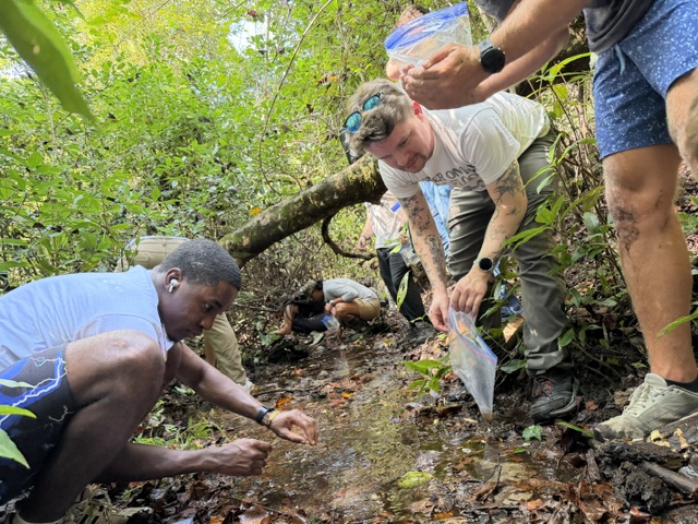 Students collect water samples from a forest stream during a course field trip.