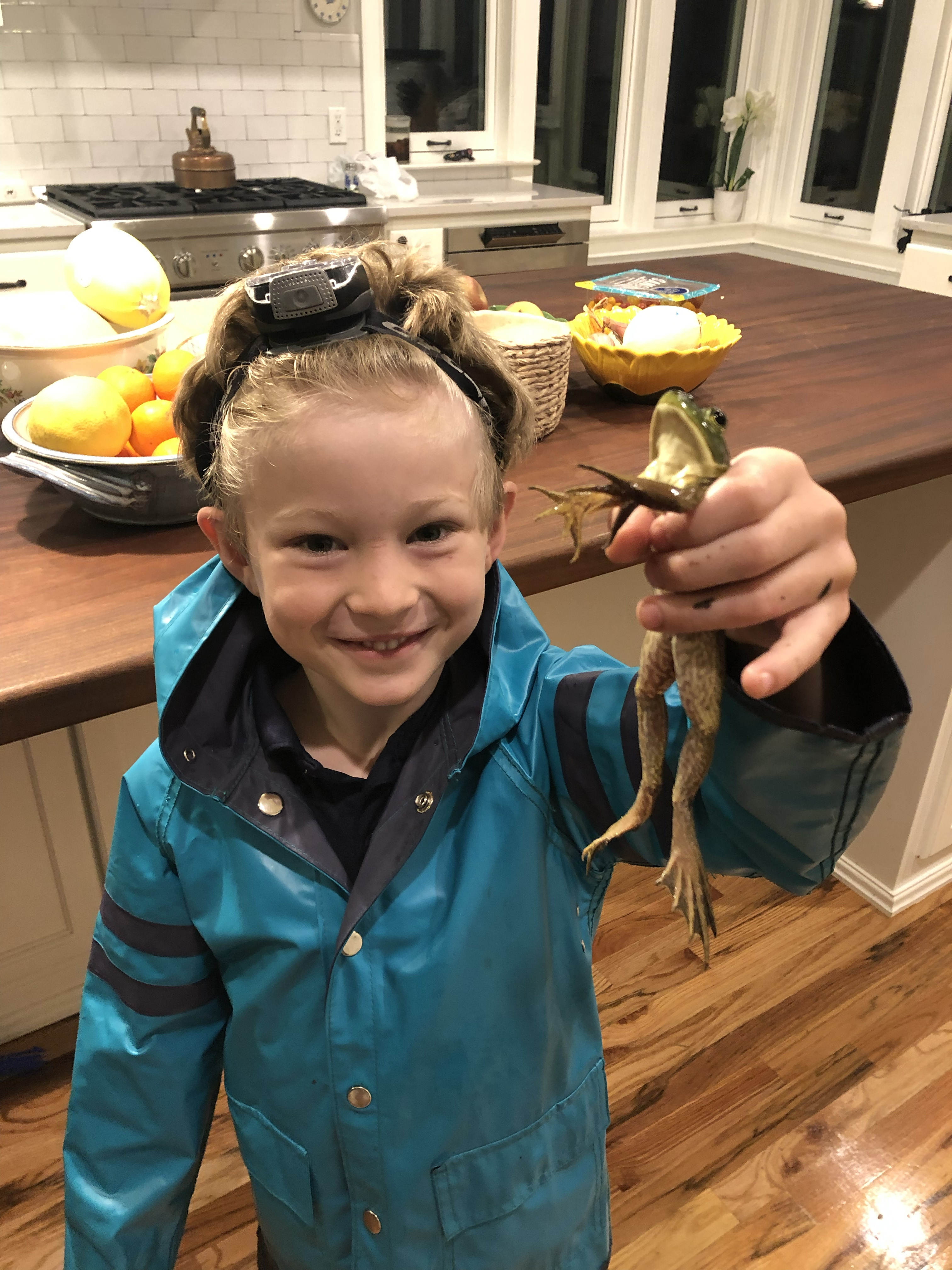Outreach: A young frog catcher with a bullfrog