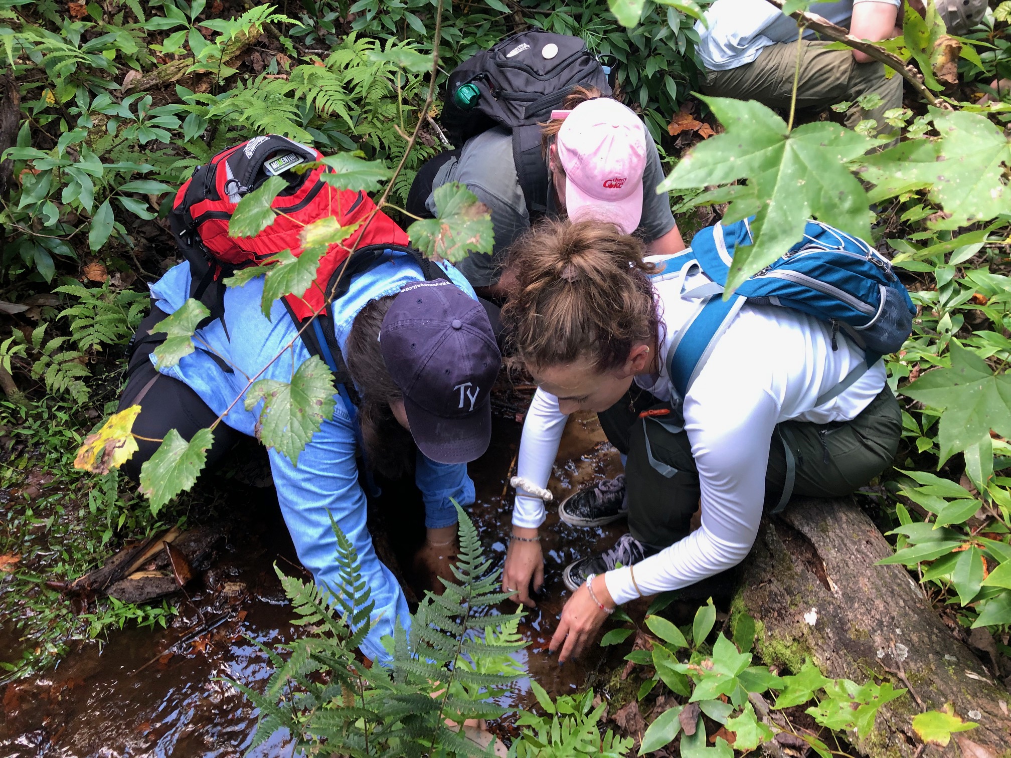 Collecting stream samples