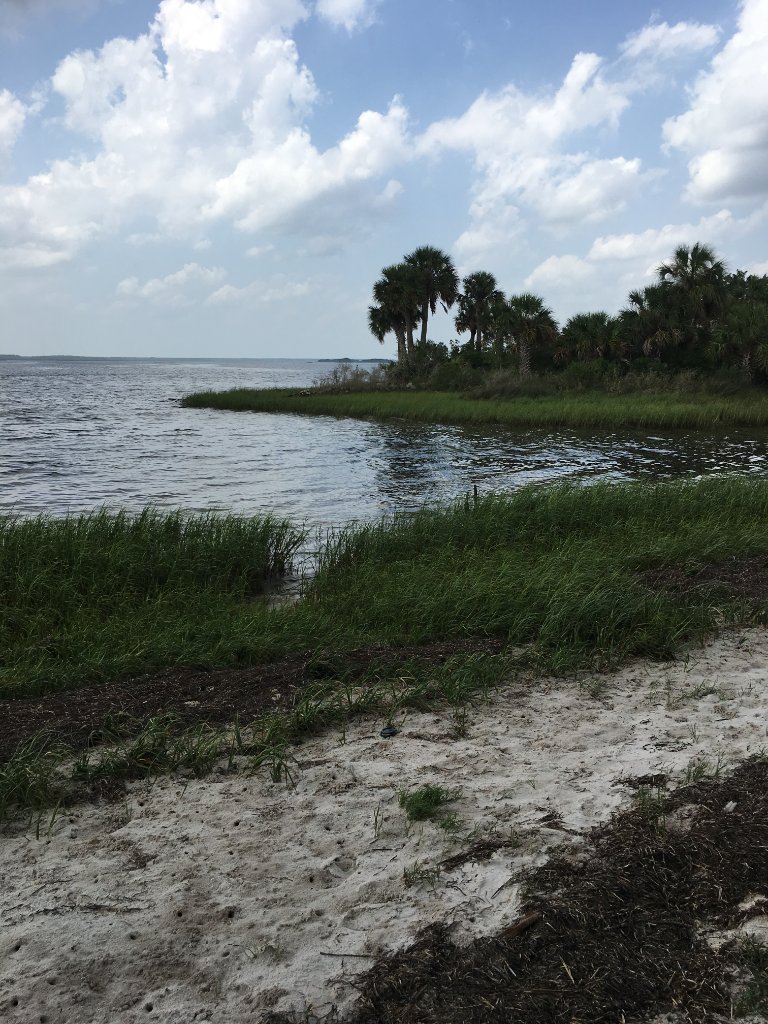 Forgotten Coast habitat