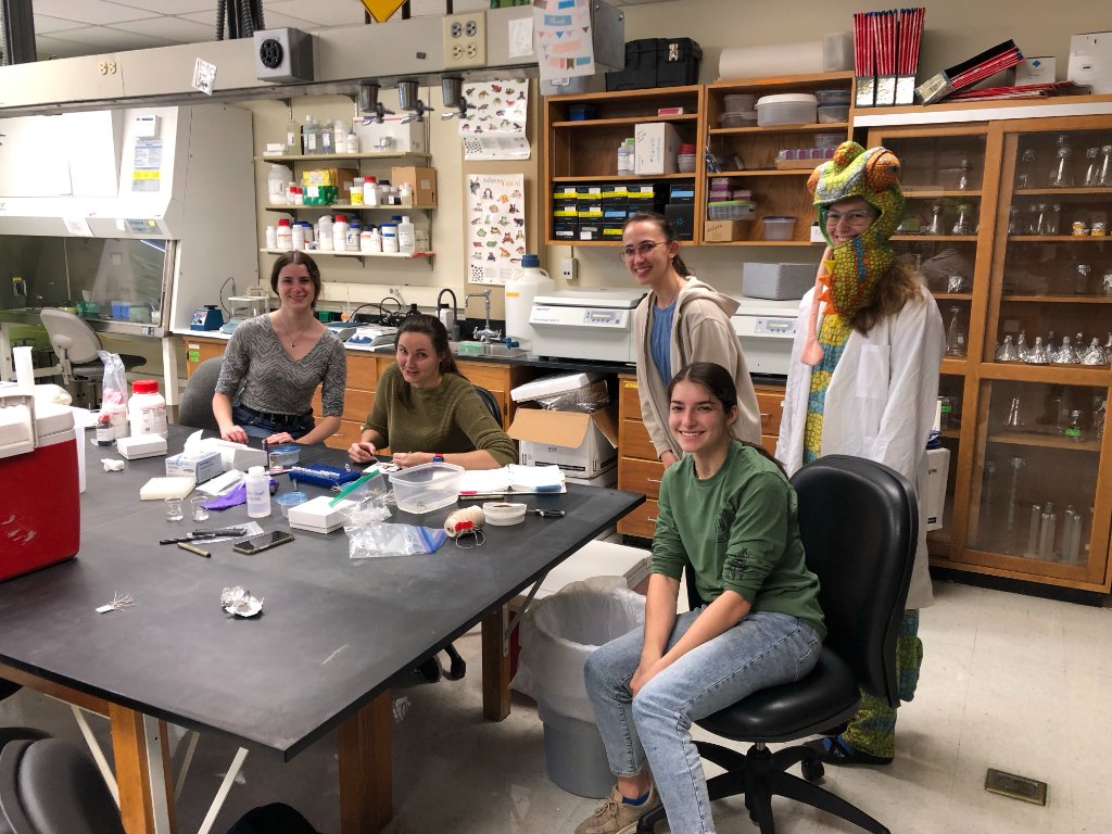 Lab group dissecting together