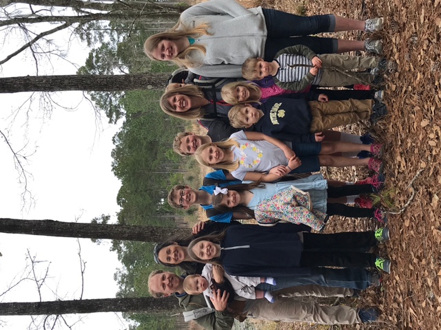 Field trip: Exploring the forest together