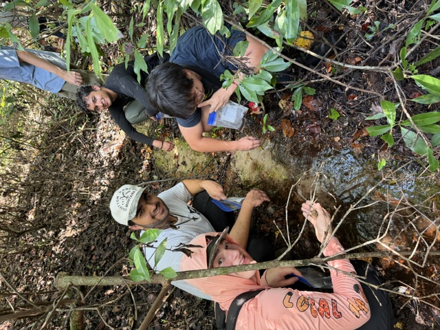 Students examine a muddy stream bed during an Experimental Biology field activity.