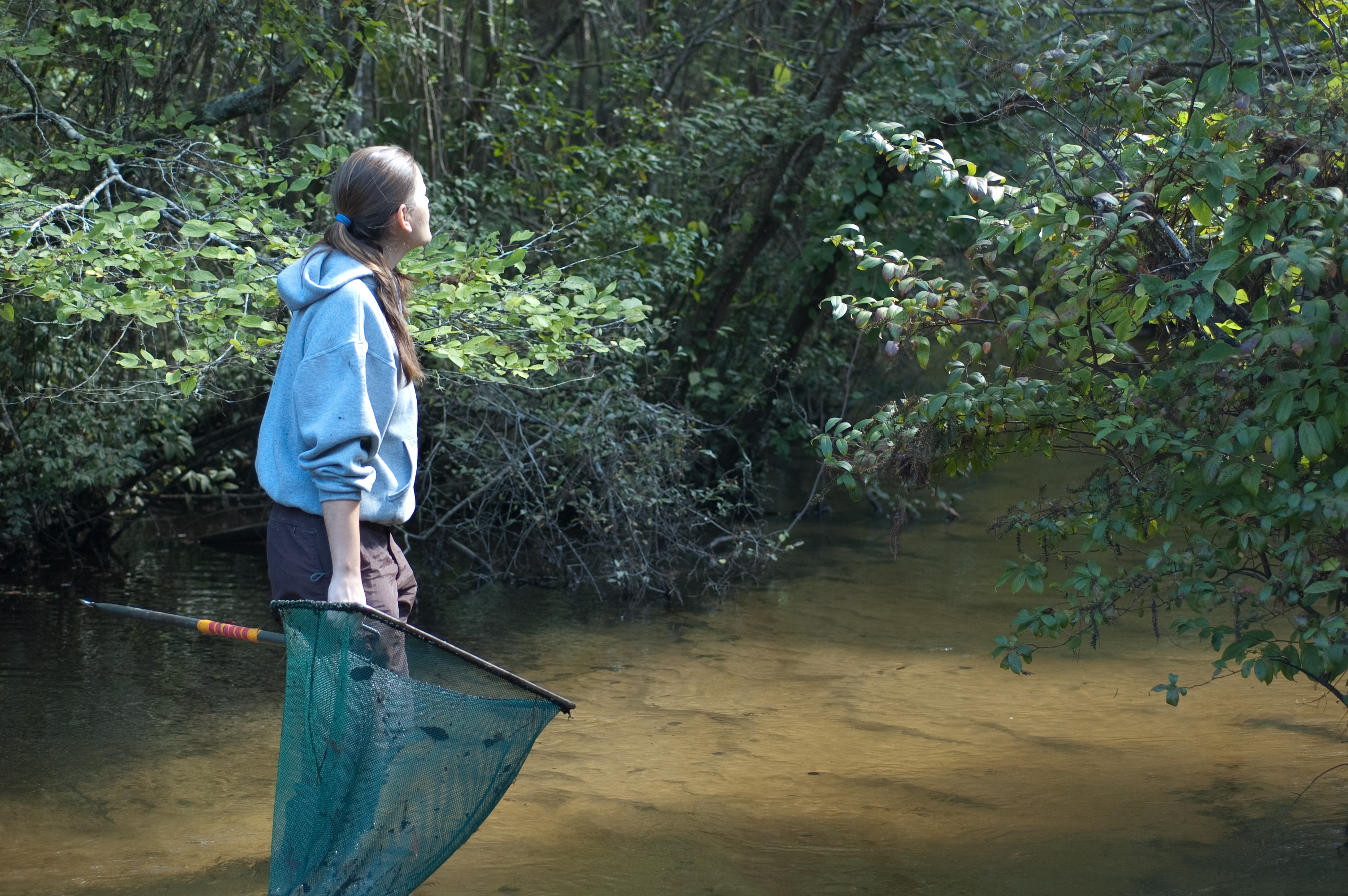 Lisa Barrow surveying a stream with a dip net during fieldwork