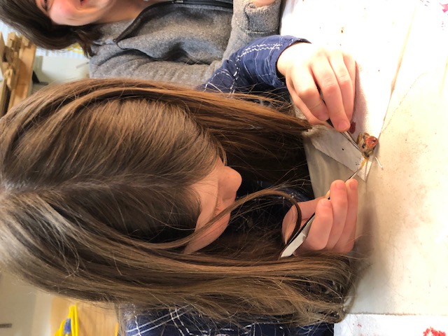 Outreach: Careful specimen work with tweezers