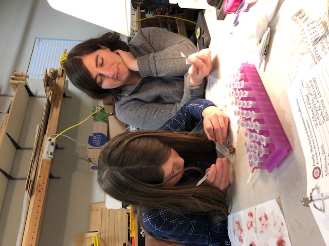 Outreach: Preparing specimens in the lab