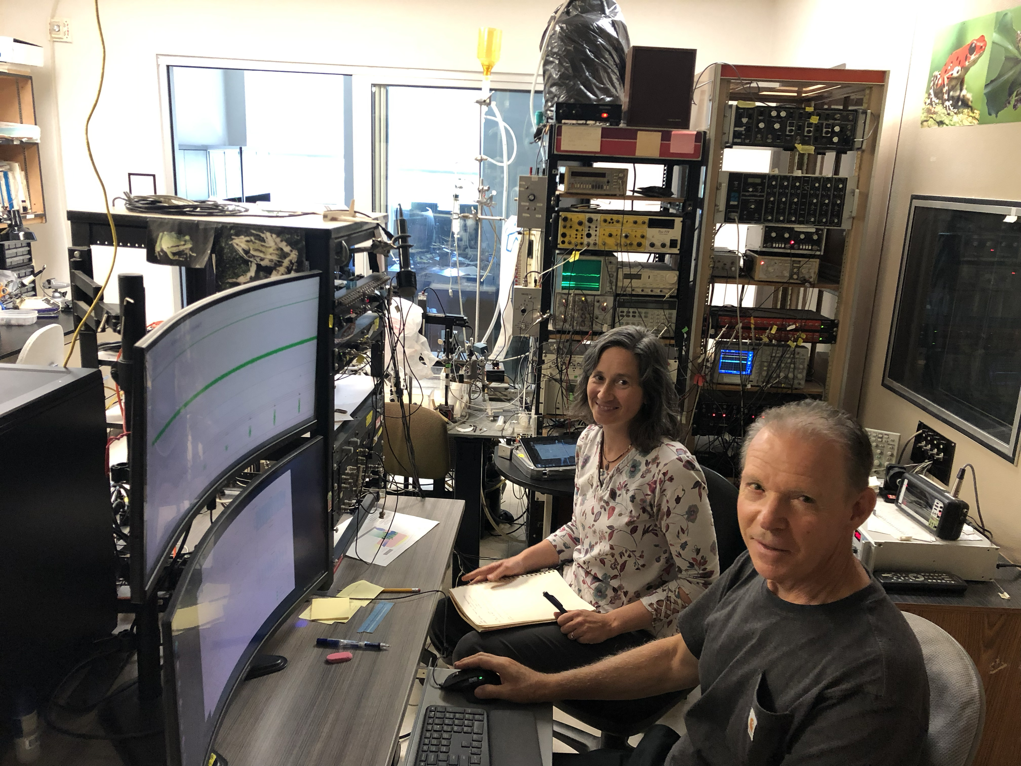 Electrophysiology setup — researchers at the recording workstation.