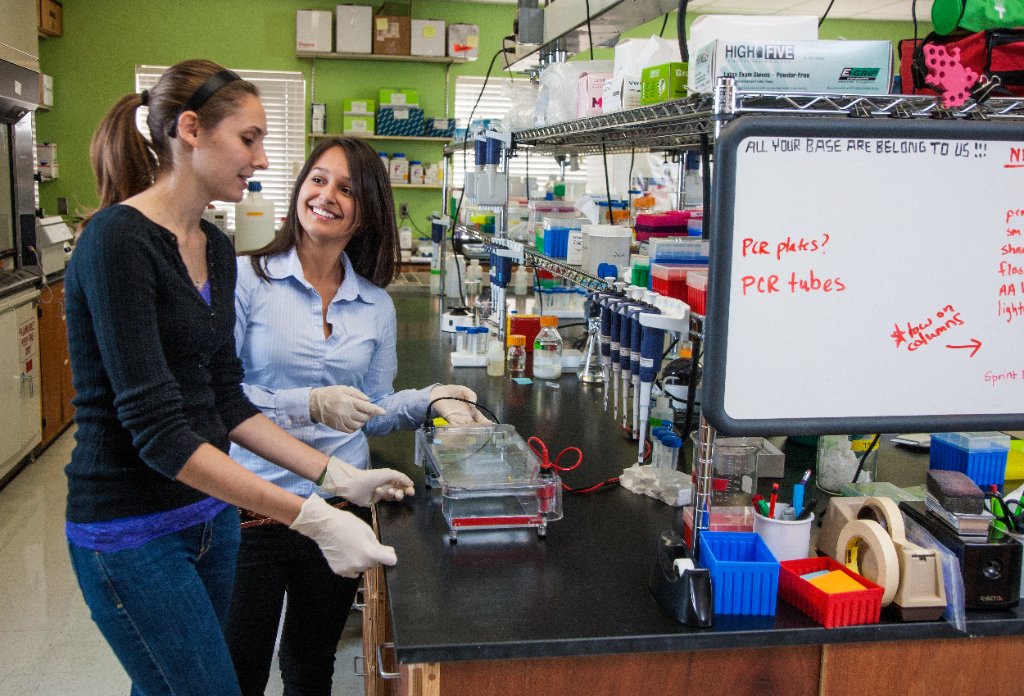 Lab members working at the bench