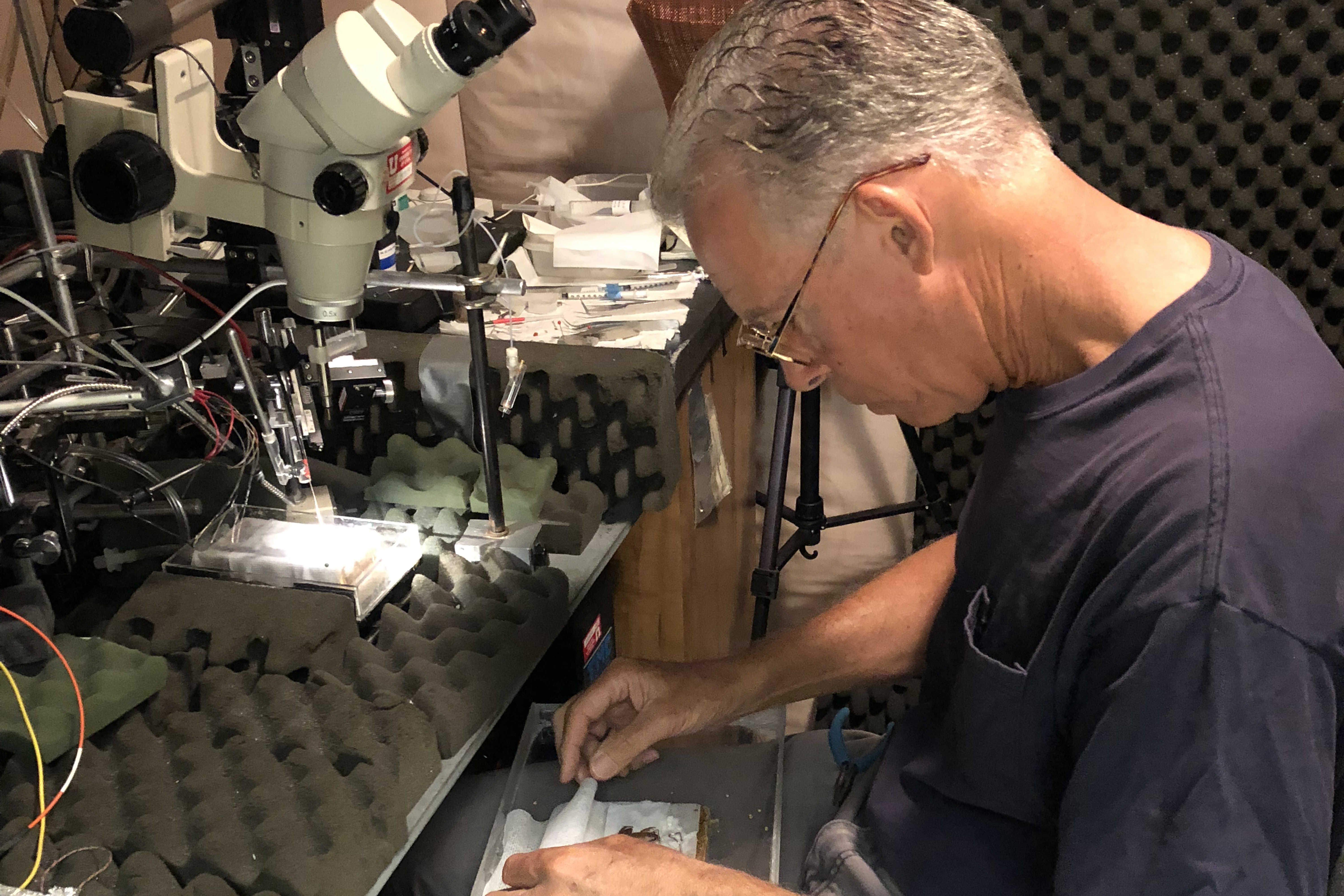 Electrophysiology lab — Prof. Gary Rose preparing a specimen under the stereomicroscope during a recording session.