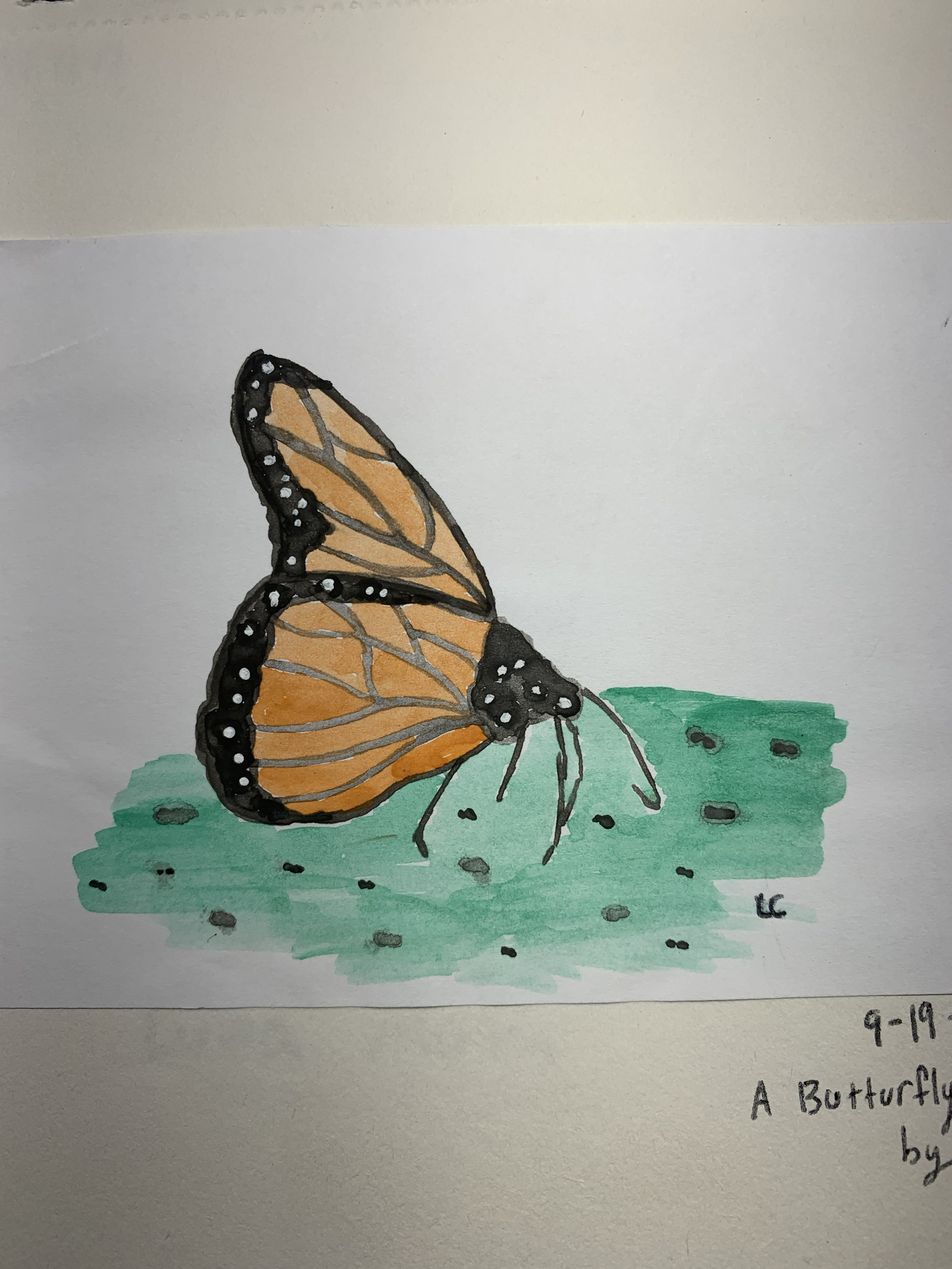 Watercolor sketch of a butterfly