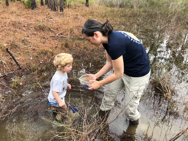 Field outreach: Sampling in the wetlands