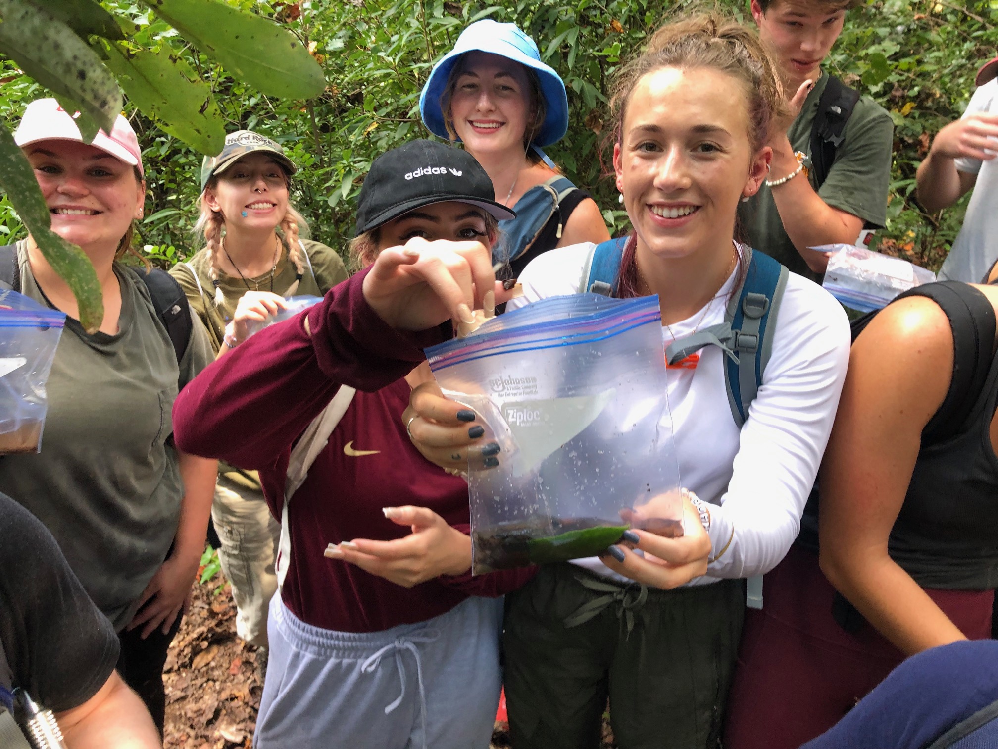 Examining a field sample