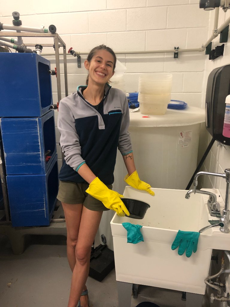 Carlie Anderson working in the lab