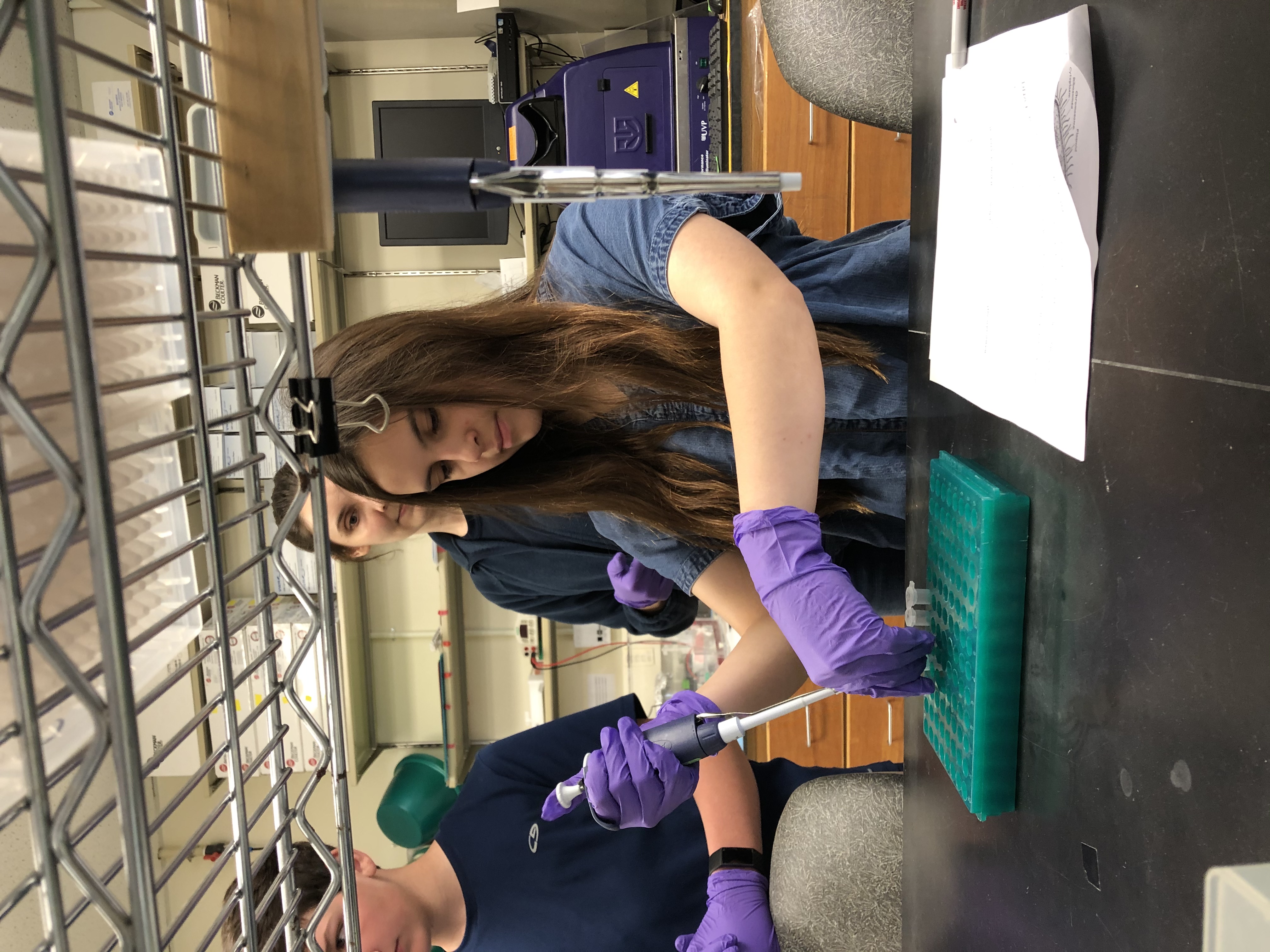 Lab day: Learning to use a micropipette
