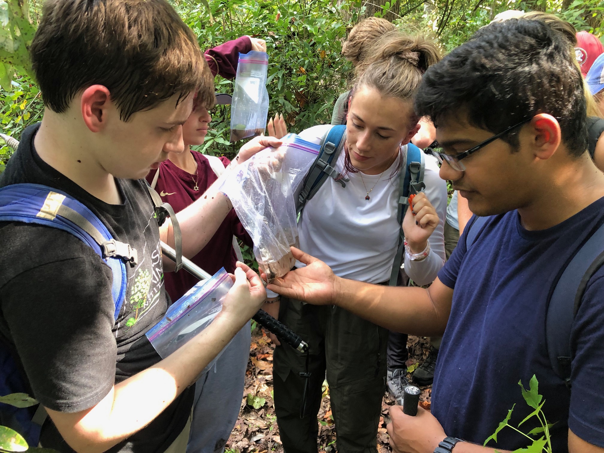 Inspecting a collected sample