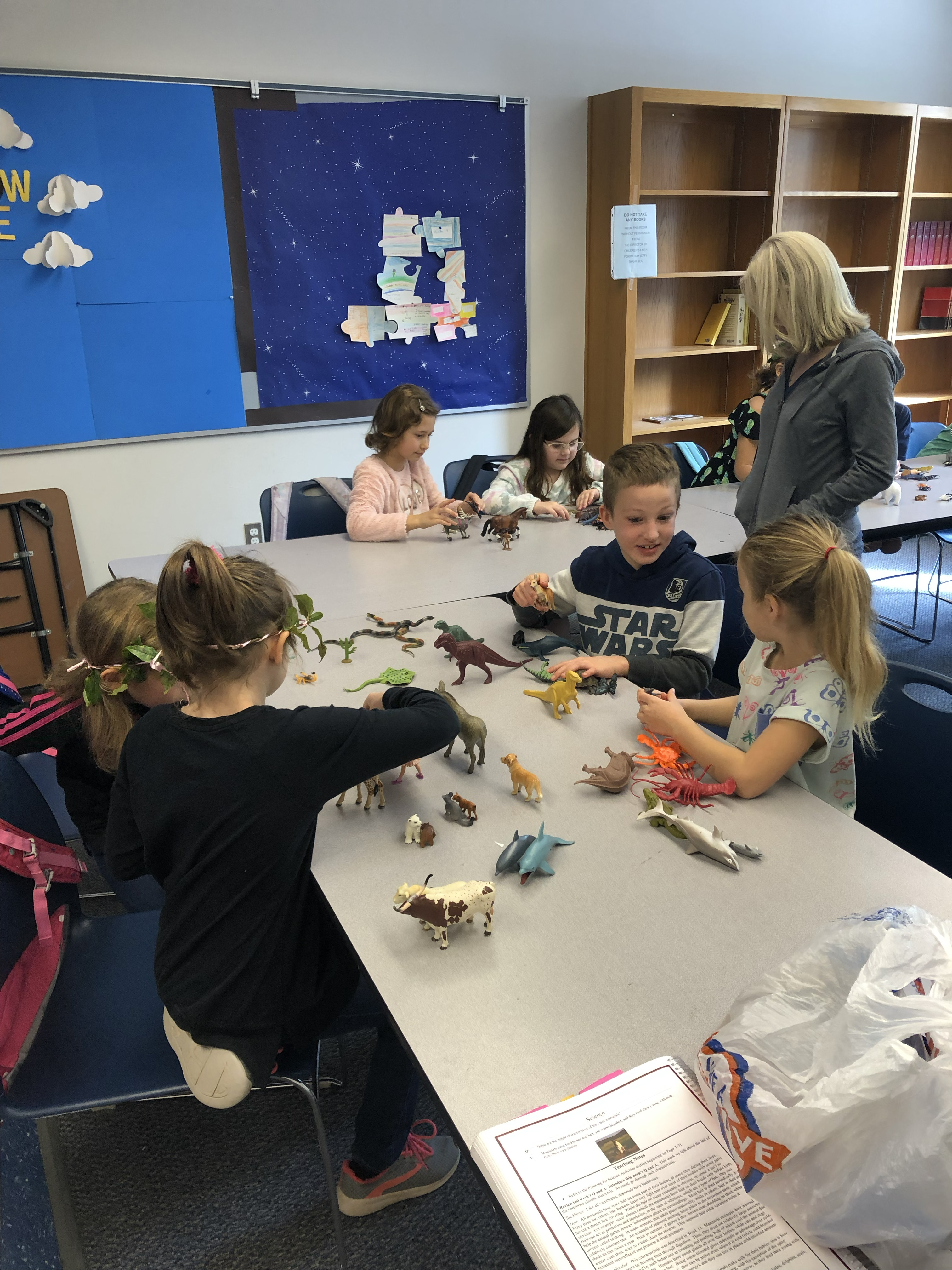Outreach: Learning about mammals with animal models