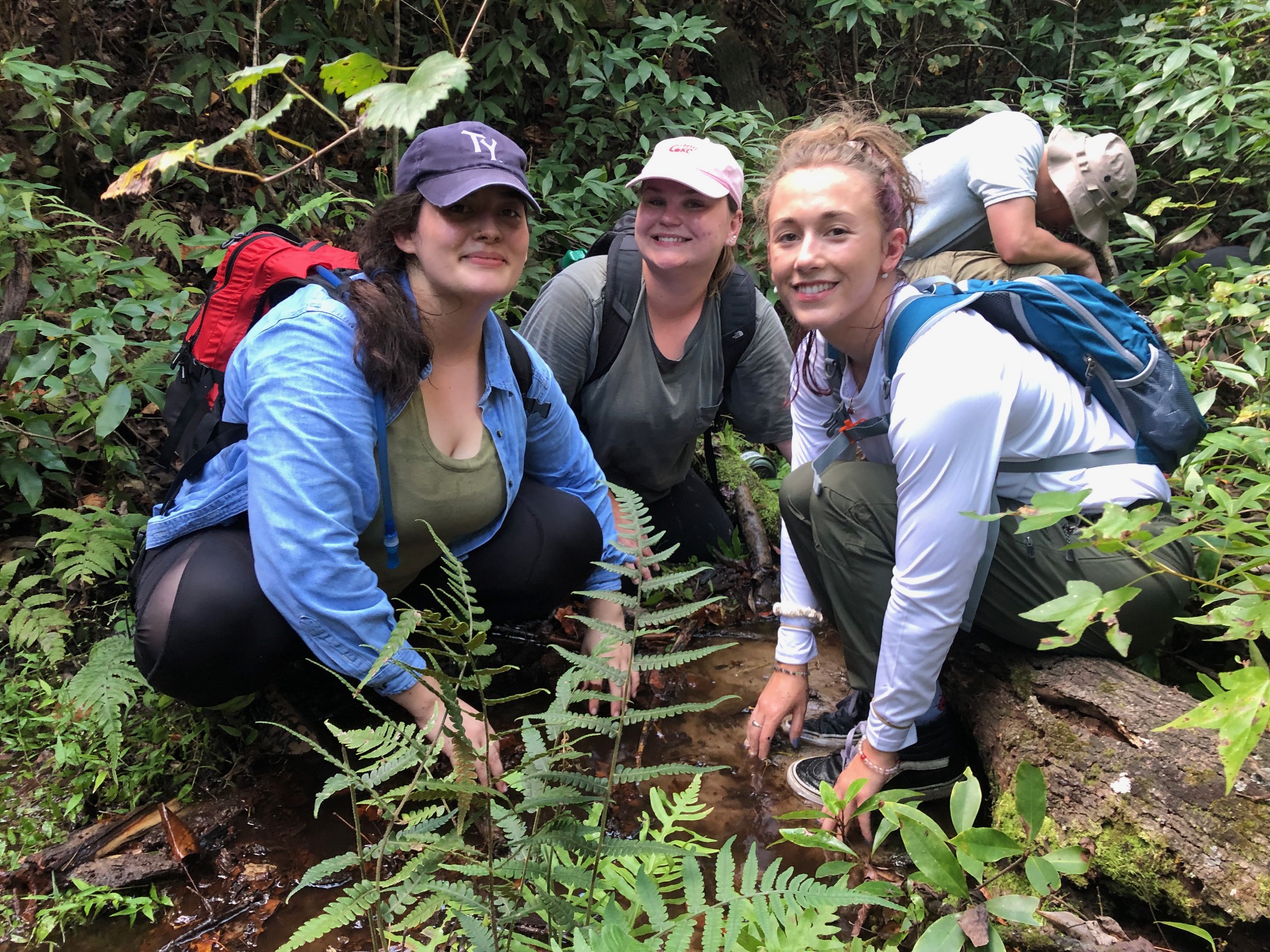 Sampling in a forest stream
