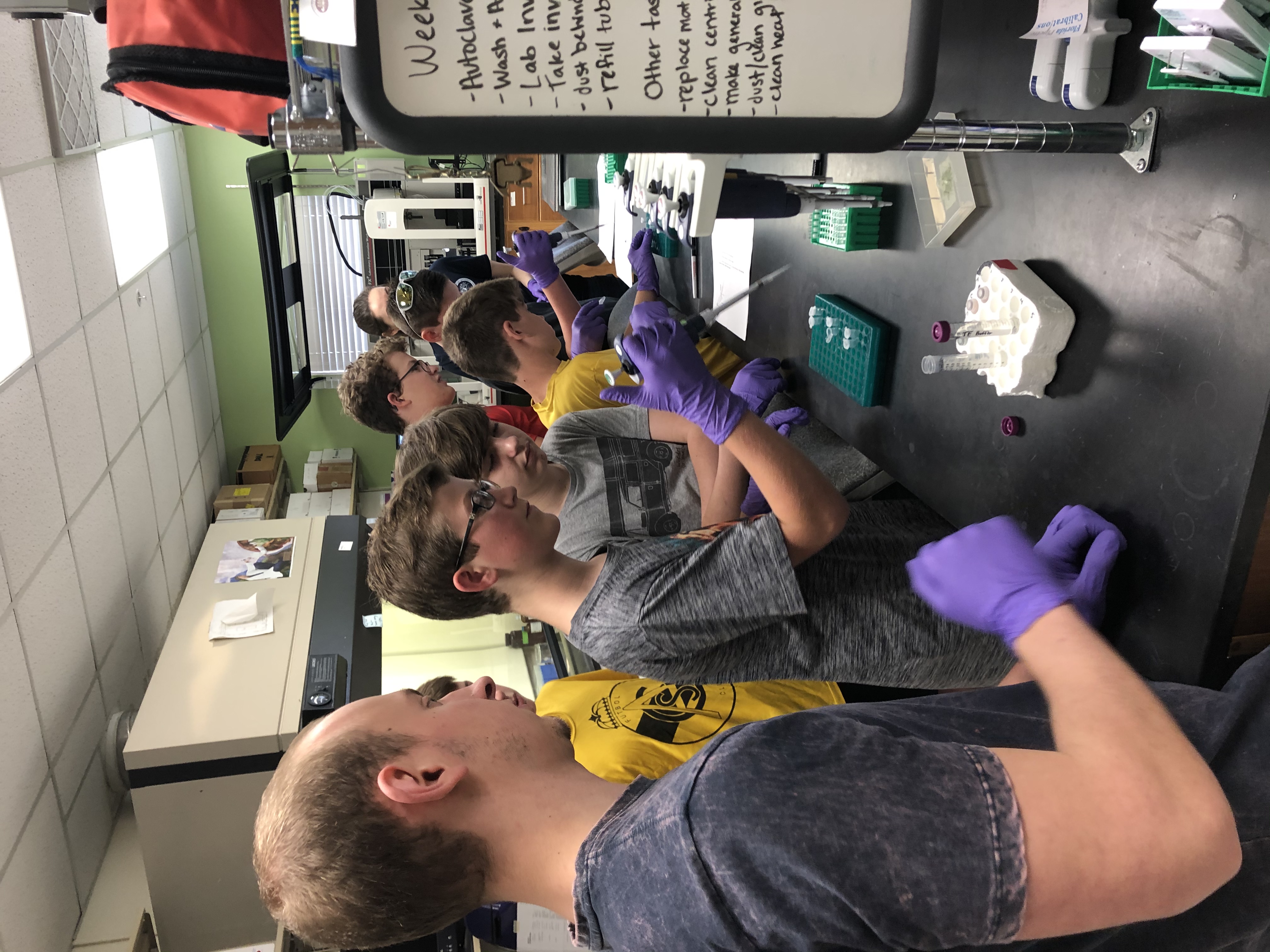 Lab day: Hands-on pipetting practice