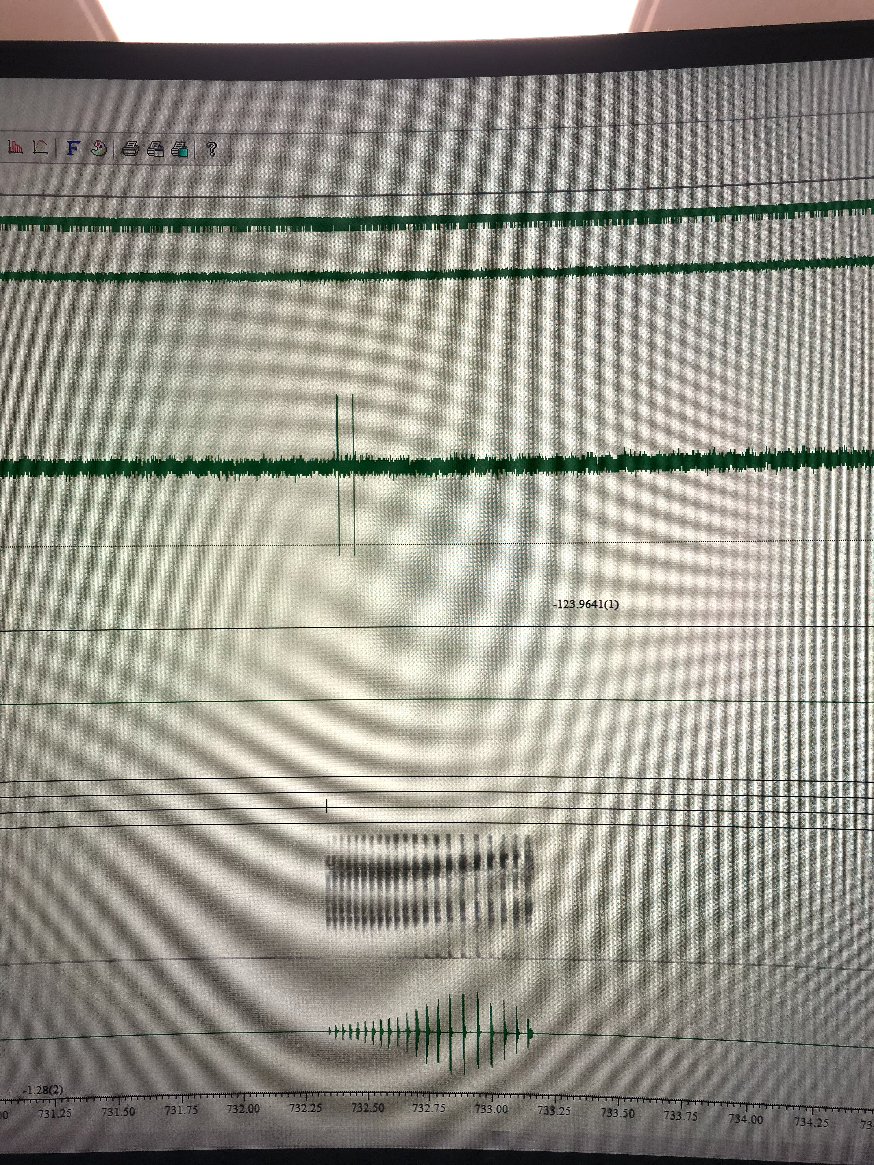 Electrophysiology recording — Spike2 signal channels and spectrogram detail.