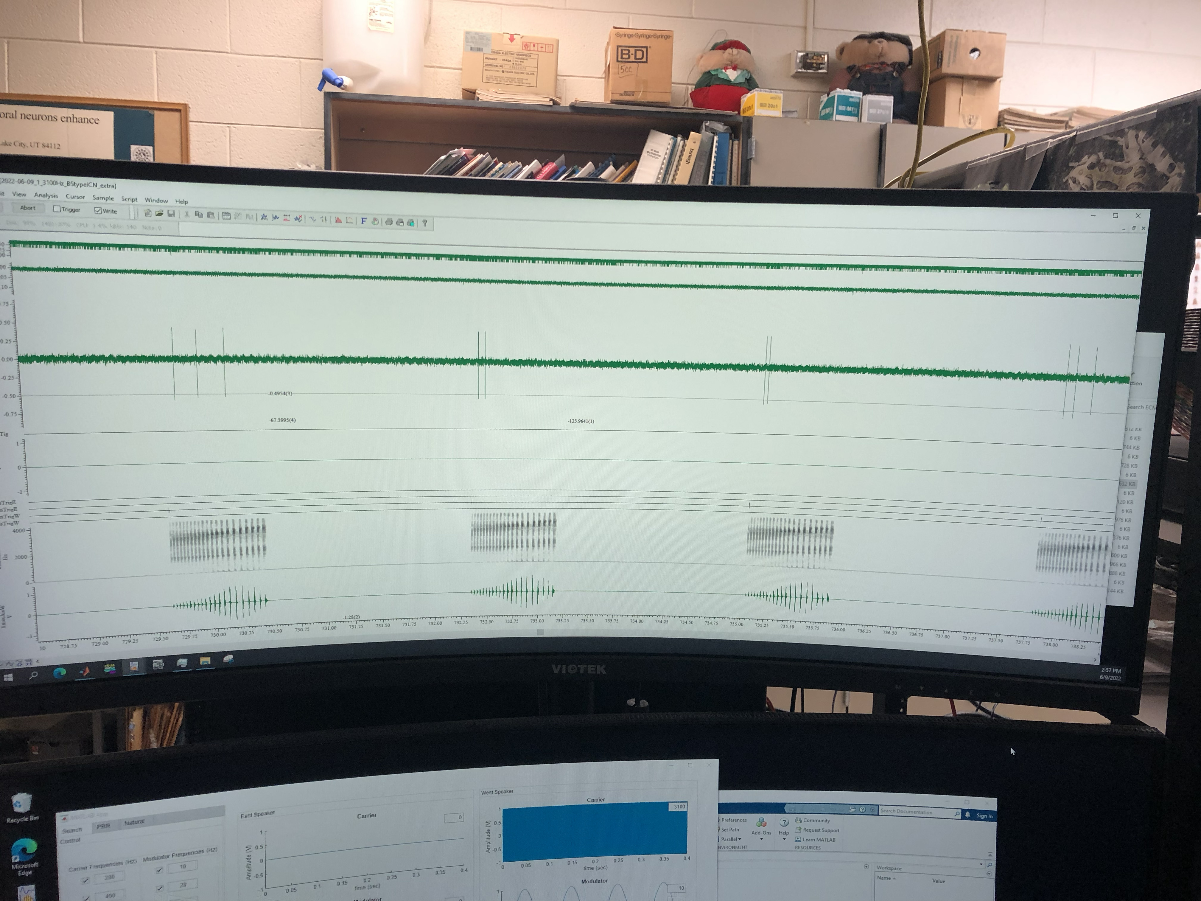 Electrophysiology recording — Spike2 data acquisition interface showing neural signal traces and spectrogram.