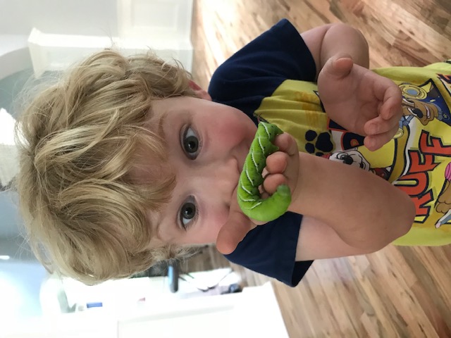 Outreach: Meeting a caterpillar up close