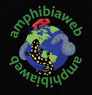AmphibiaWeb logo
