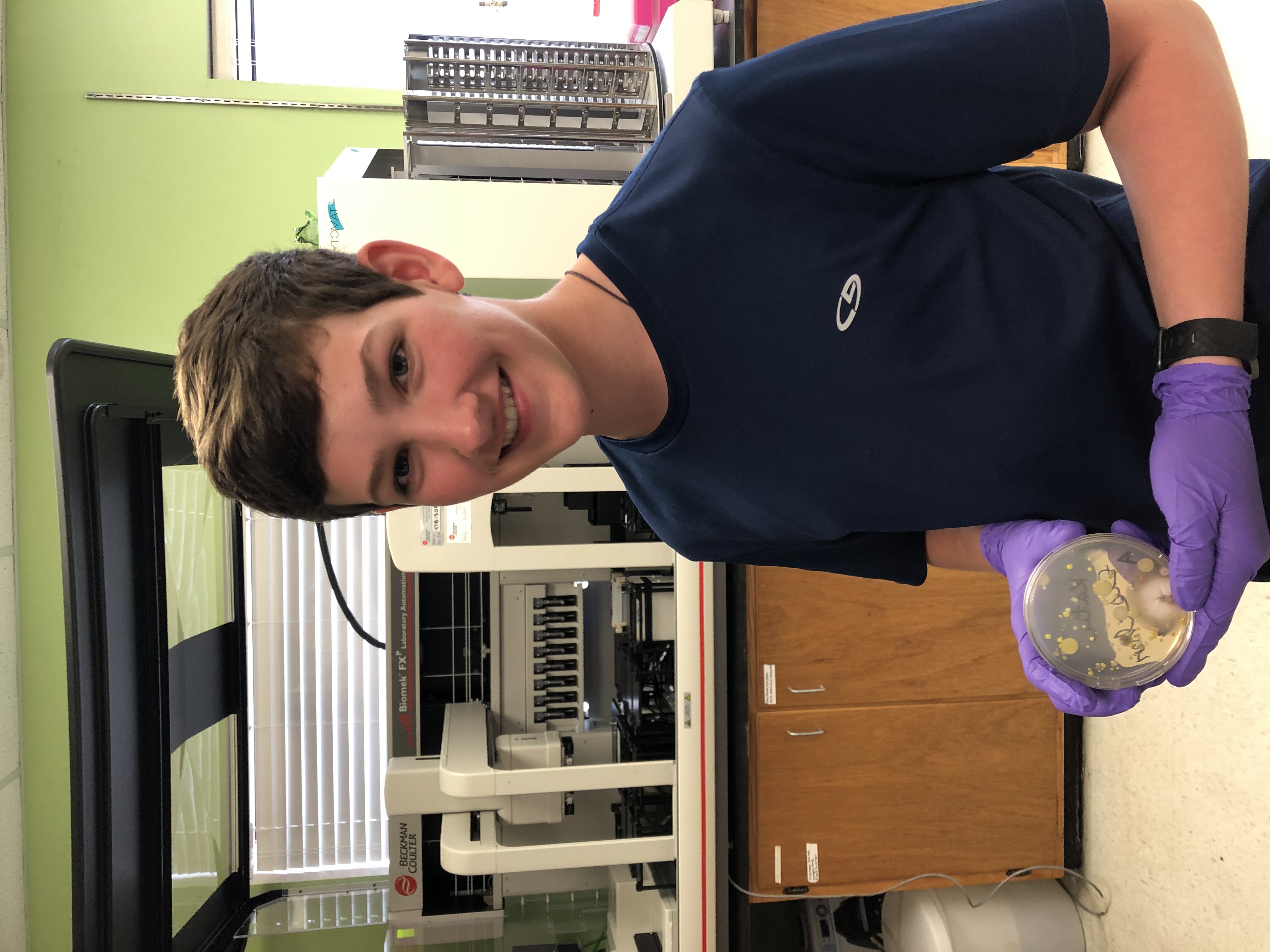 Lab day: Examining bacterial cultures