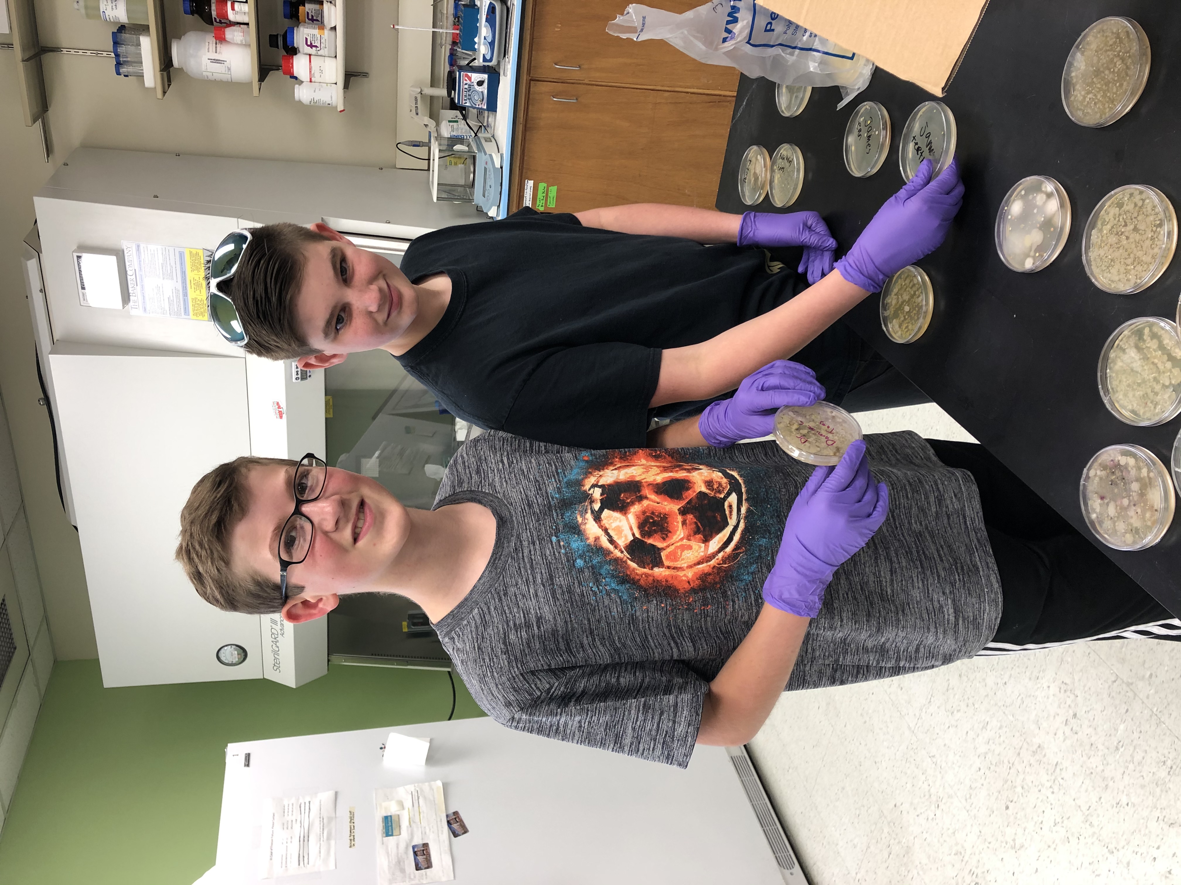 Lab day: Examining bacterial cultures in petri dishes