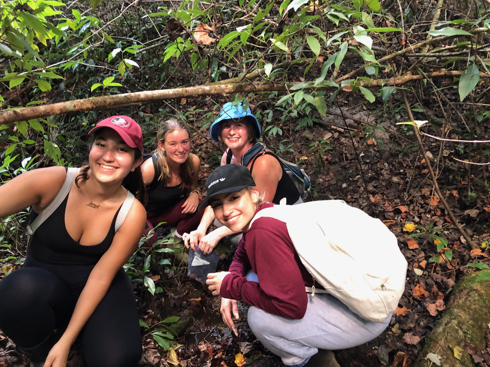 Field course students in the woods