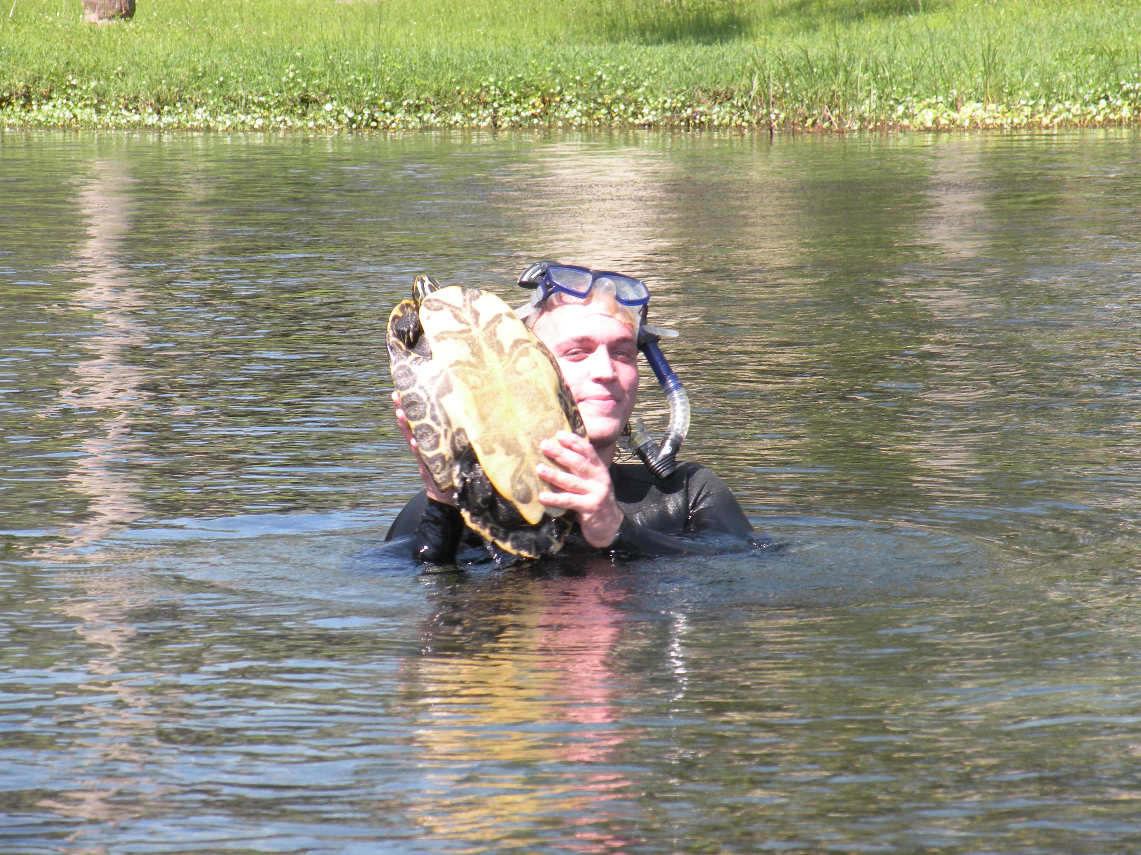 Moses Michelsohn holding a large turtle caught during aquatic fieldwork