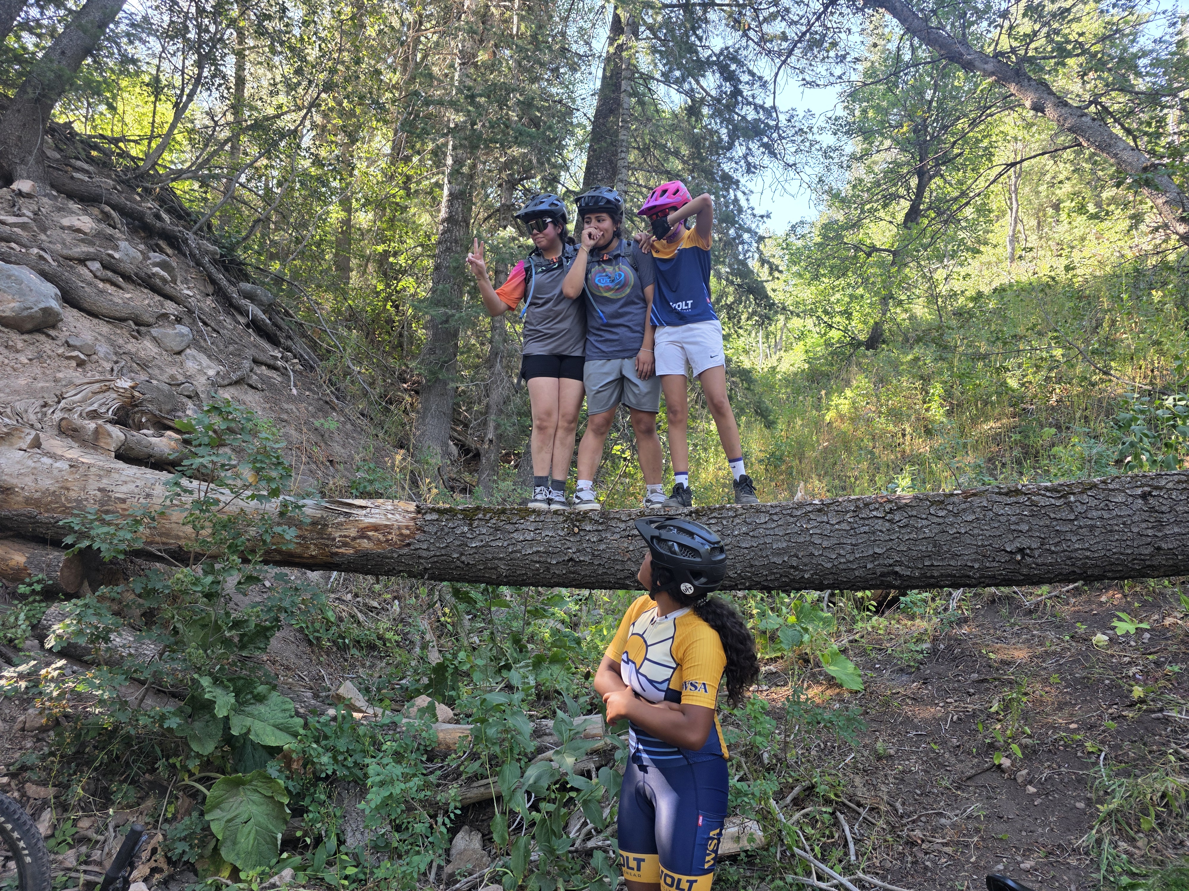 Riders balancing on a fallen log in the forest