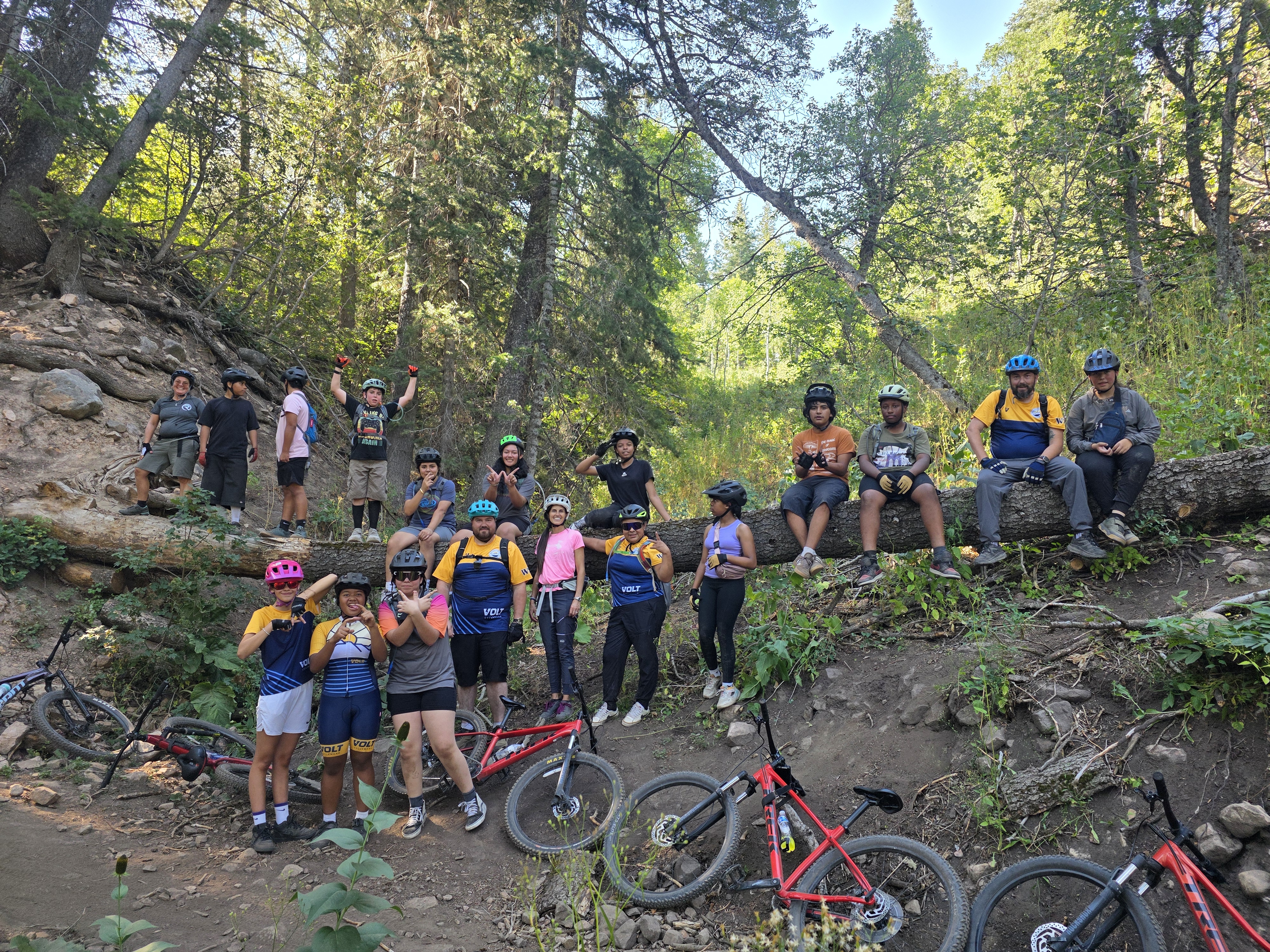 Team group photo on a fallen tree in the woods