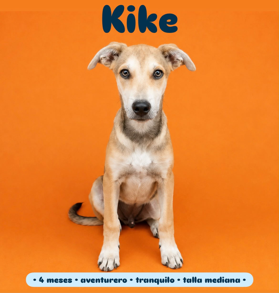 Kike