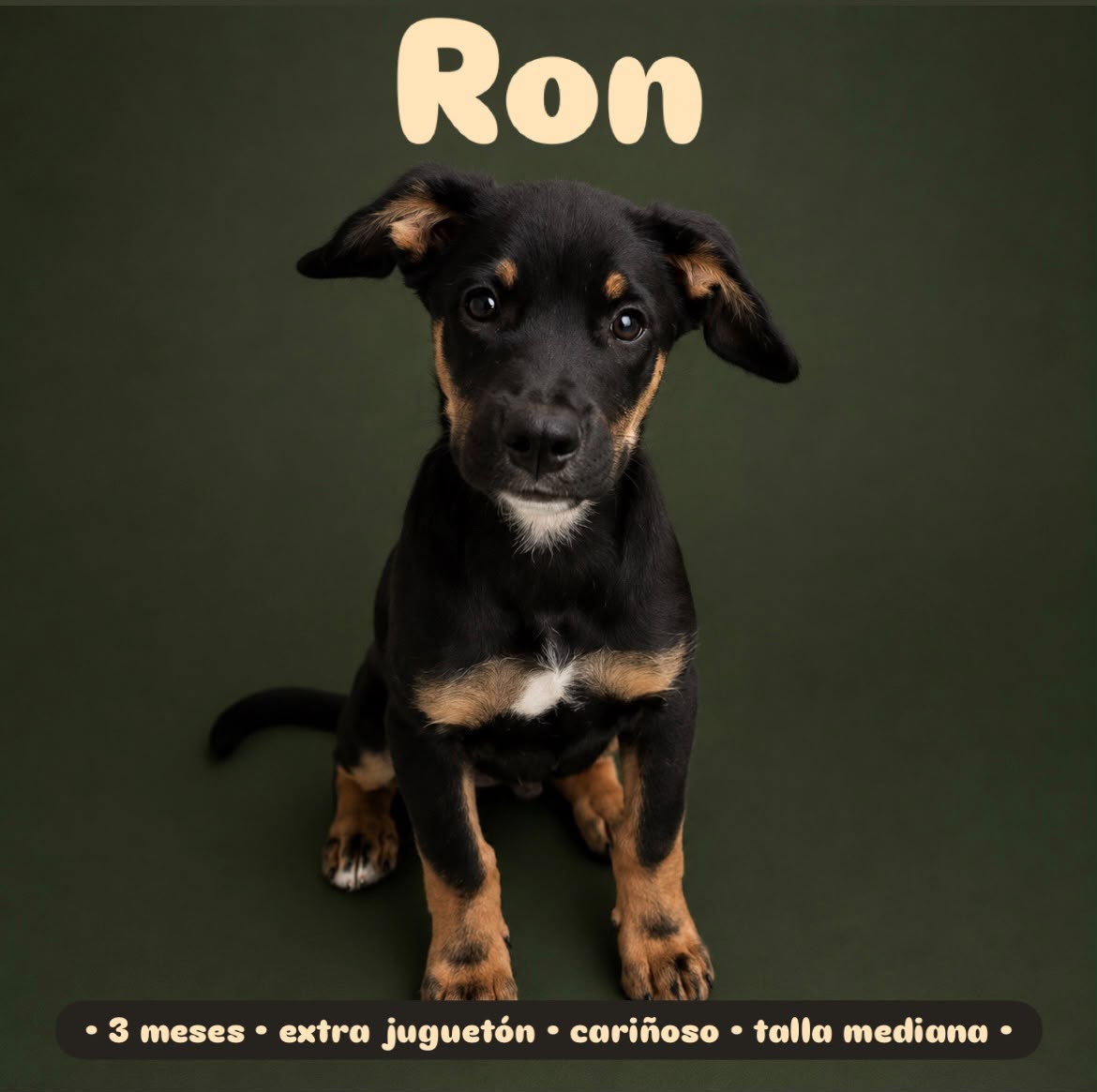 Ron
