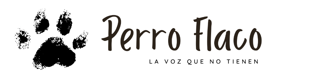 Perro Flaco